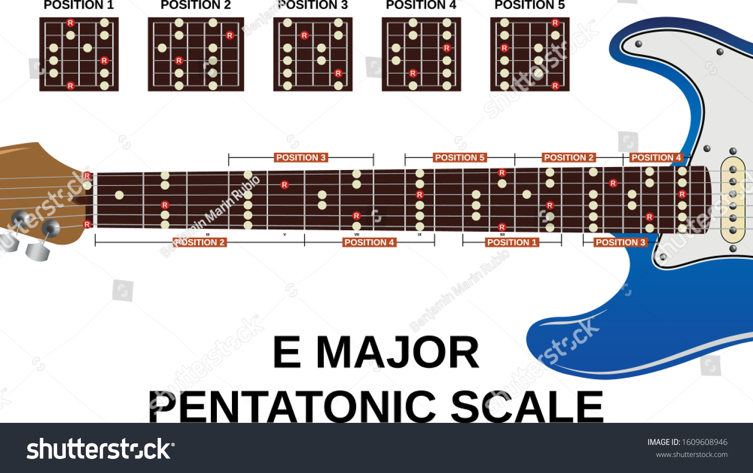 All Five Positons E Major Pentatonic Stock Vector Royalty Free