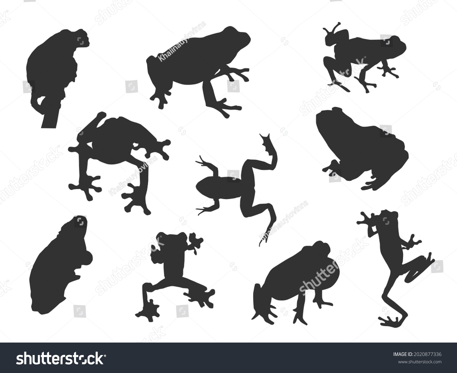 All Shadow Different Poses Frogs Stock Vector (Royalty Free) 2020877336