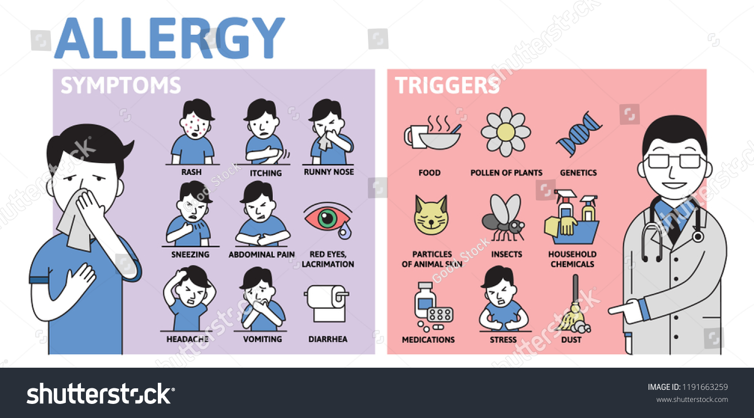 Allergy Infographics Allergy Symptoms Triggers Information Stock Vector ...