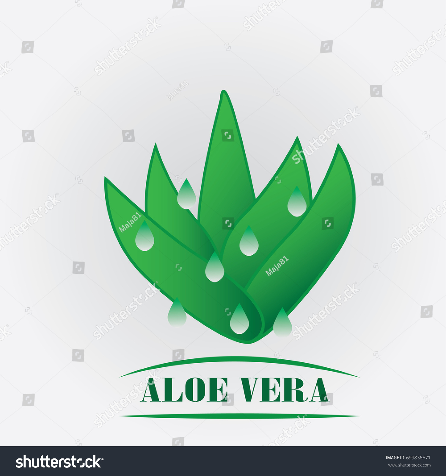 Etiket: Aloe Vera Etiket: Aloe Vera
