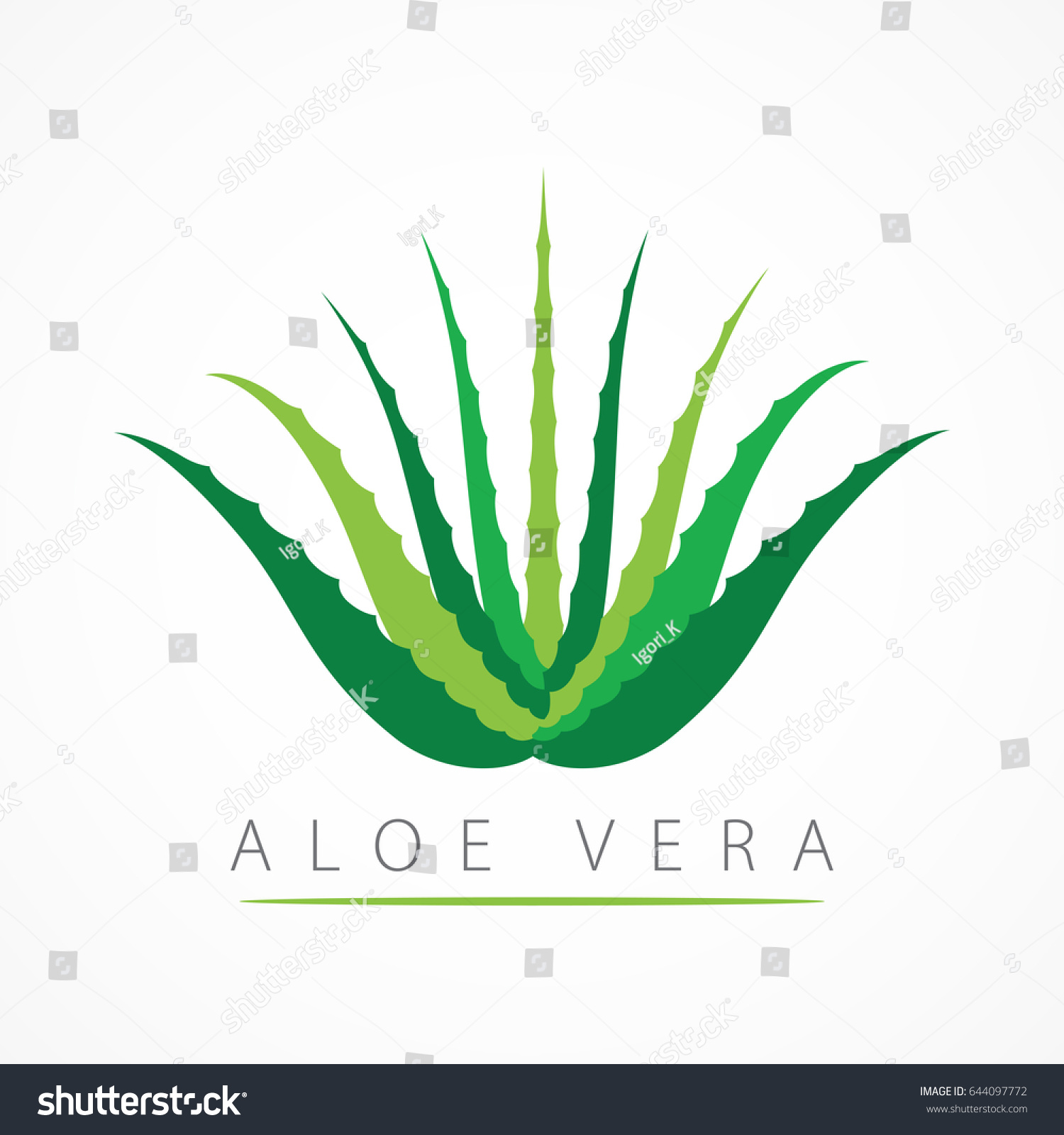 Etiket: Aloe Vera Etiket: Aloe Vera
