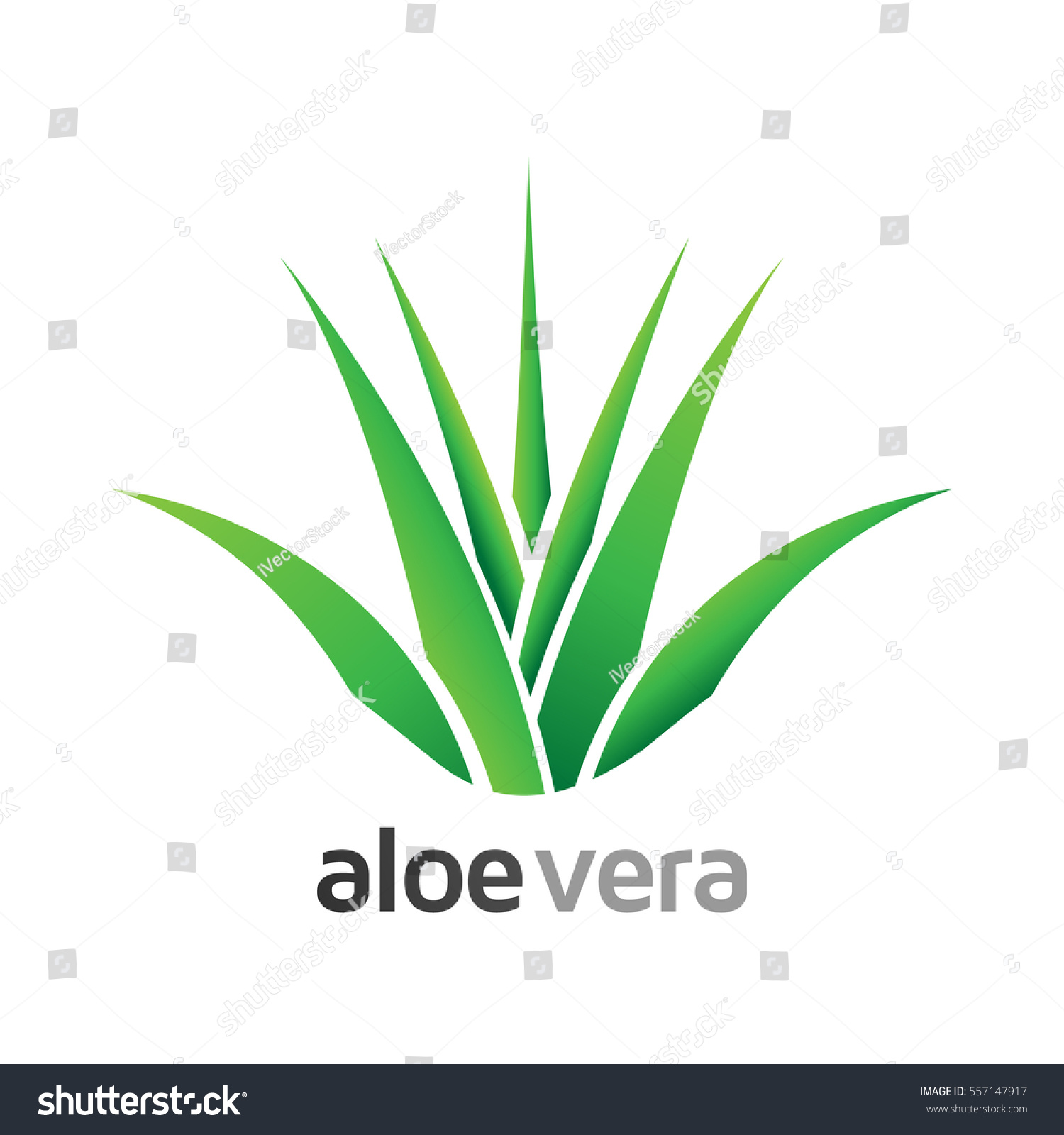 Etiket: Aloe Vera Etiket: Aloe Vera
