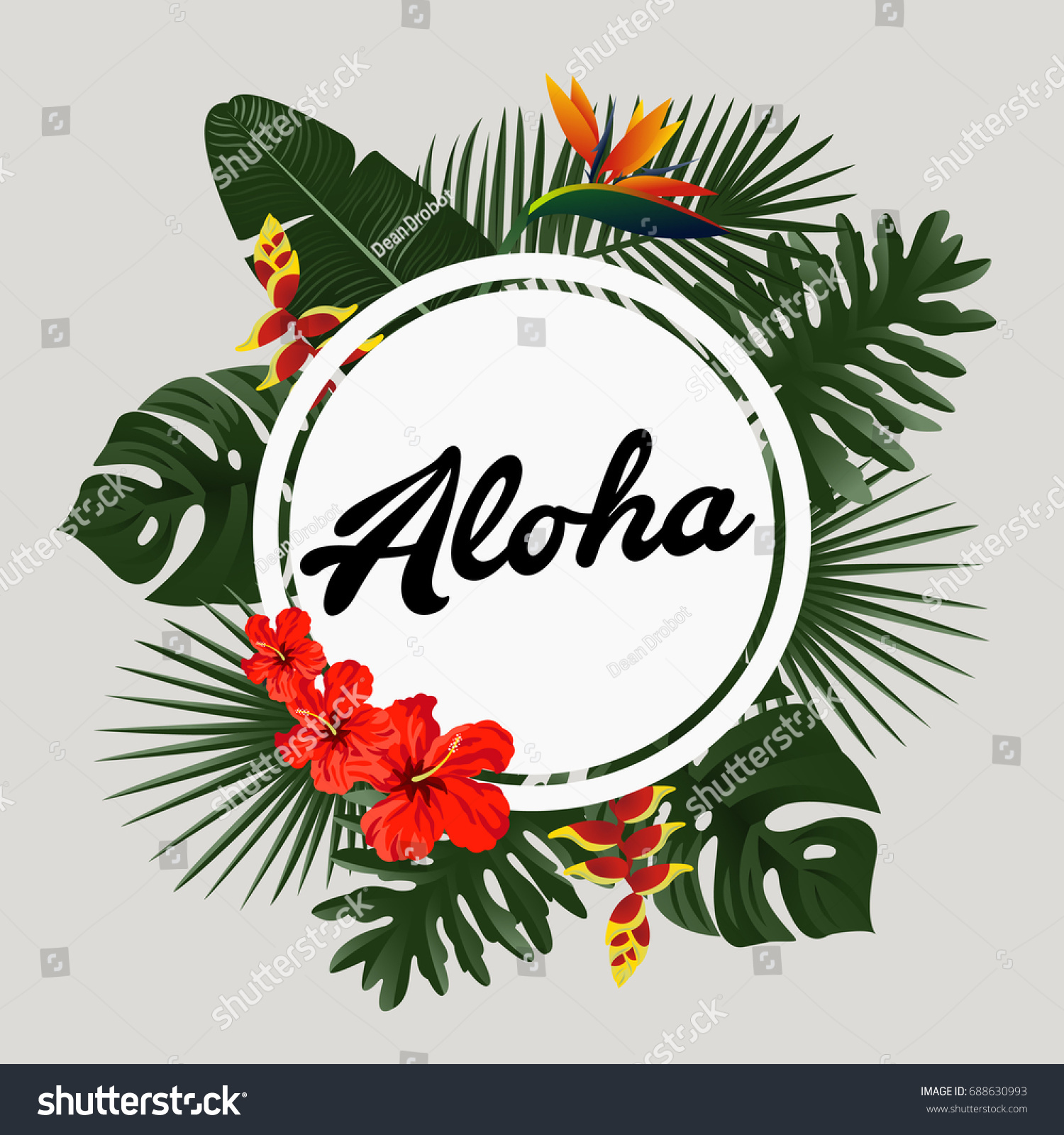 Aloha Card Design Tropical Palm Leaves Stock Vector (Royalty Free ...