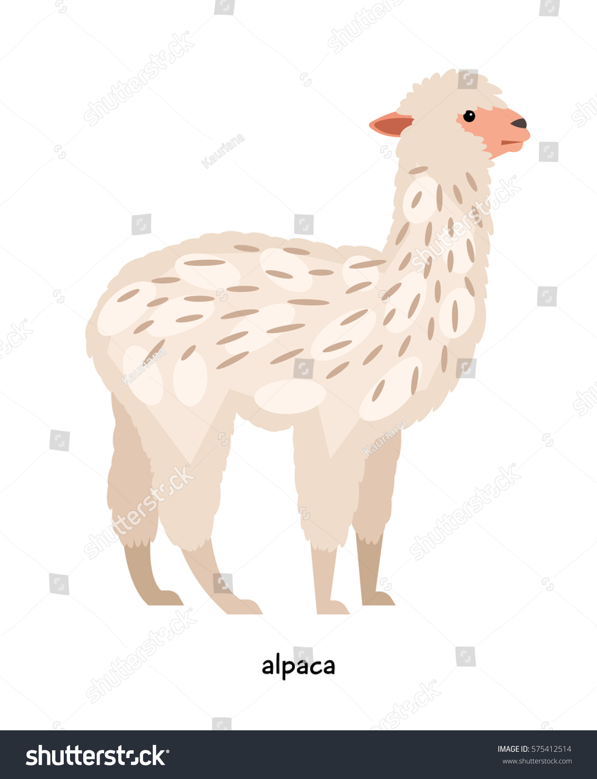 アルパカ ラクダ科の代表的な羊に似た長い首を持つ動物 のベクター画像素材 ロイヤリティフリー