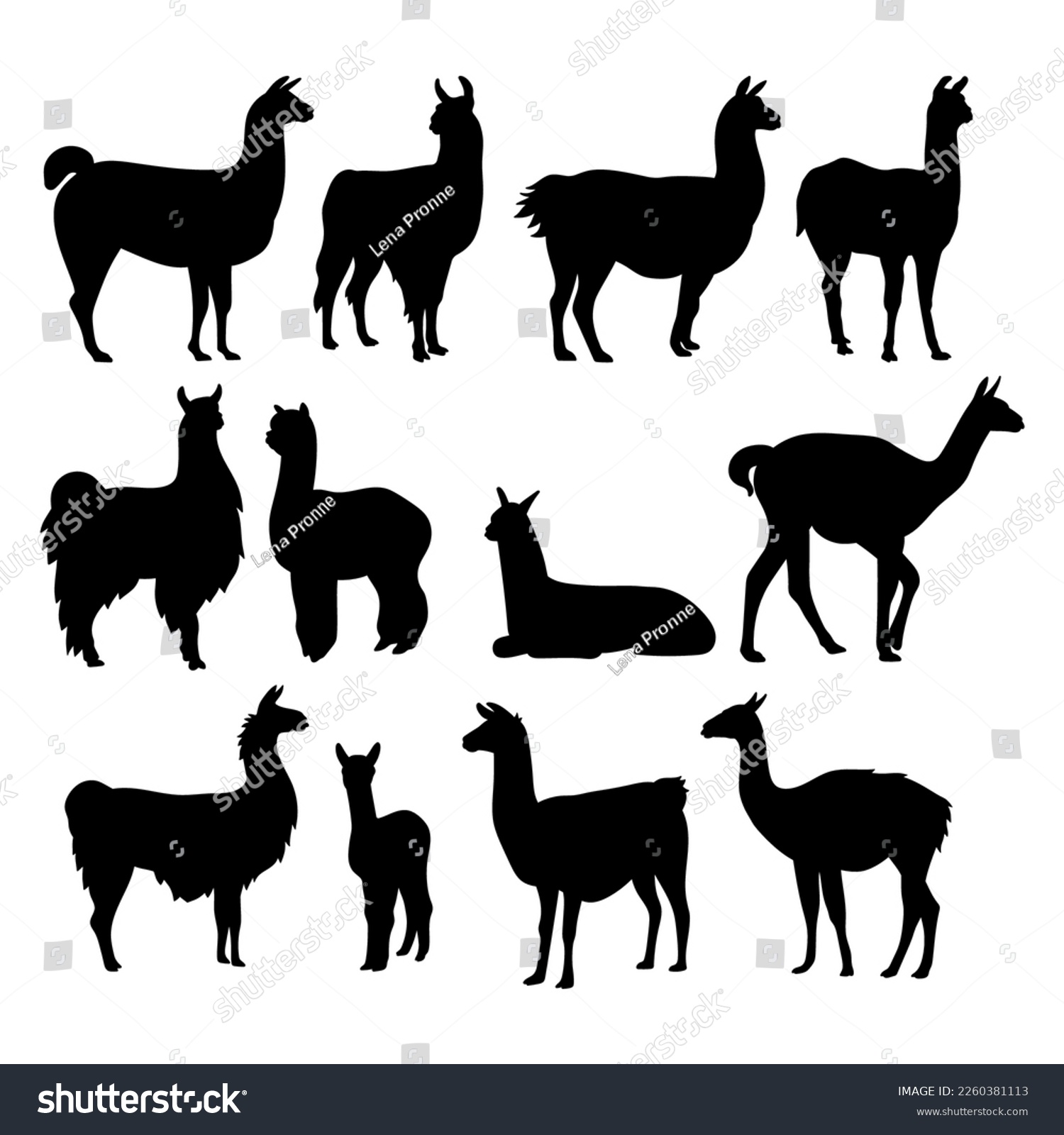 SVG of Alpaca llama animal silhouette cutting stencil templates svg
