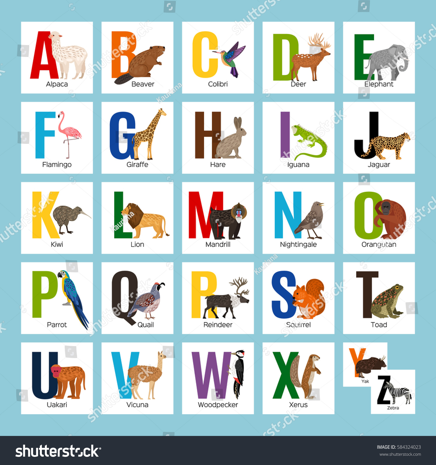 Alphabet Different Animals Stock Vector 584324023 - Shutterstock