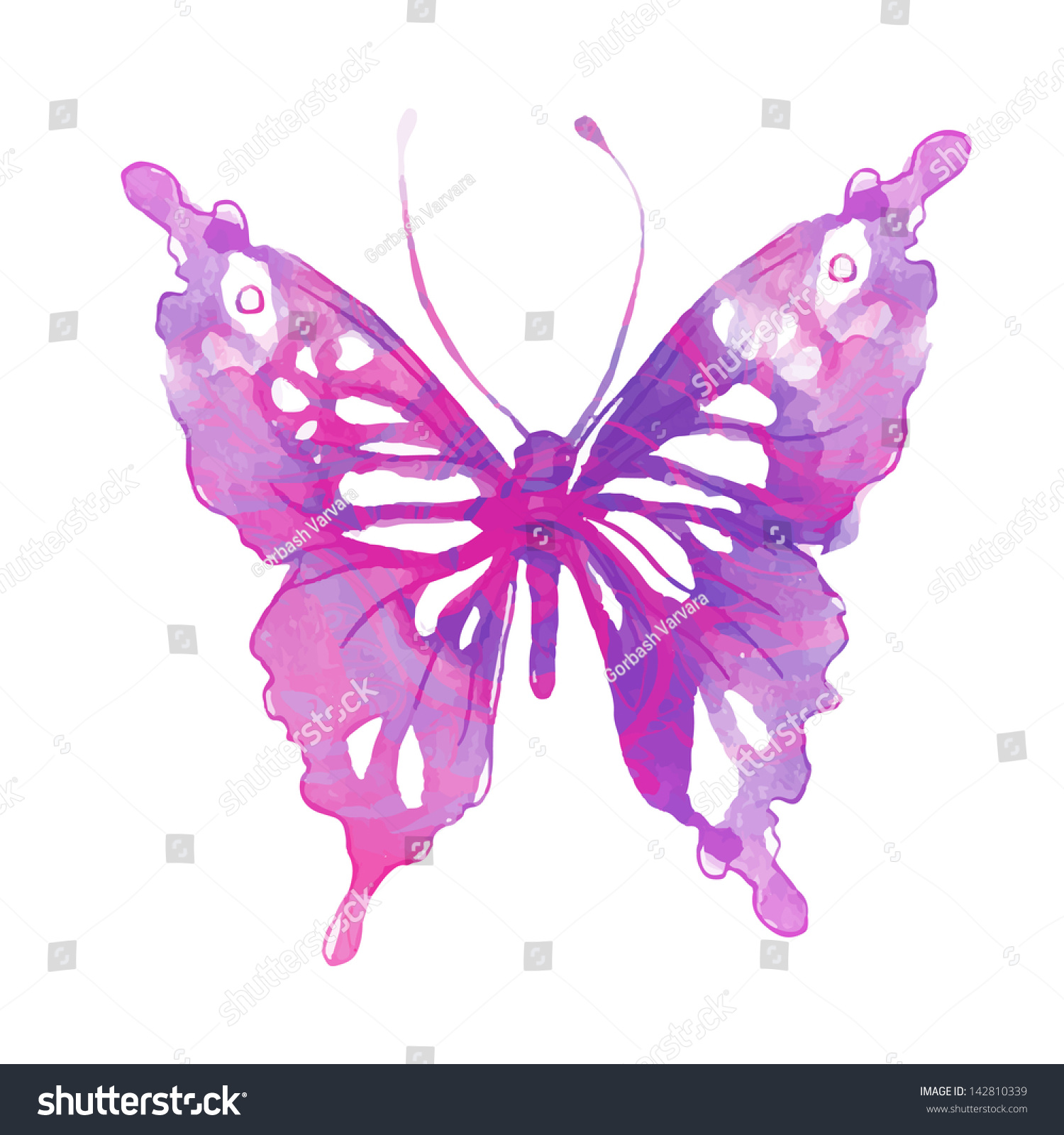 Amazing Watercolor Butterfly. Vector Art Isolated On White - 142810339 ...