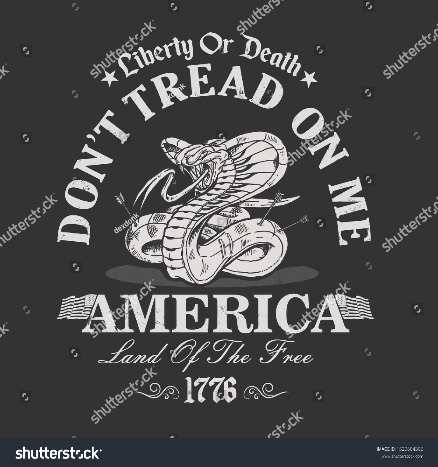 SVG of america liberty land of the free illustration vector svg