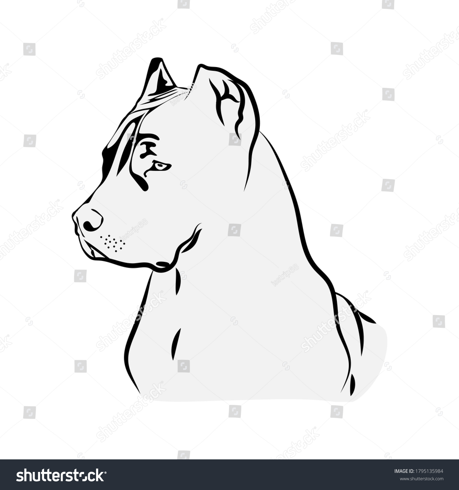 SVG of American Pit Bull Svg, Terrier Svg Files For Cricut svg