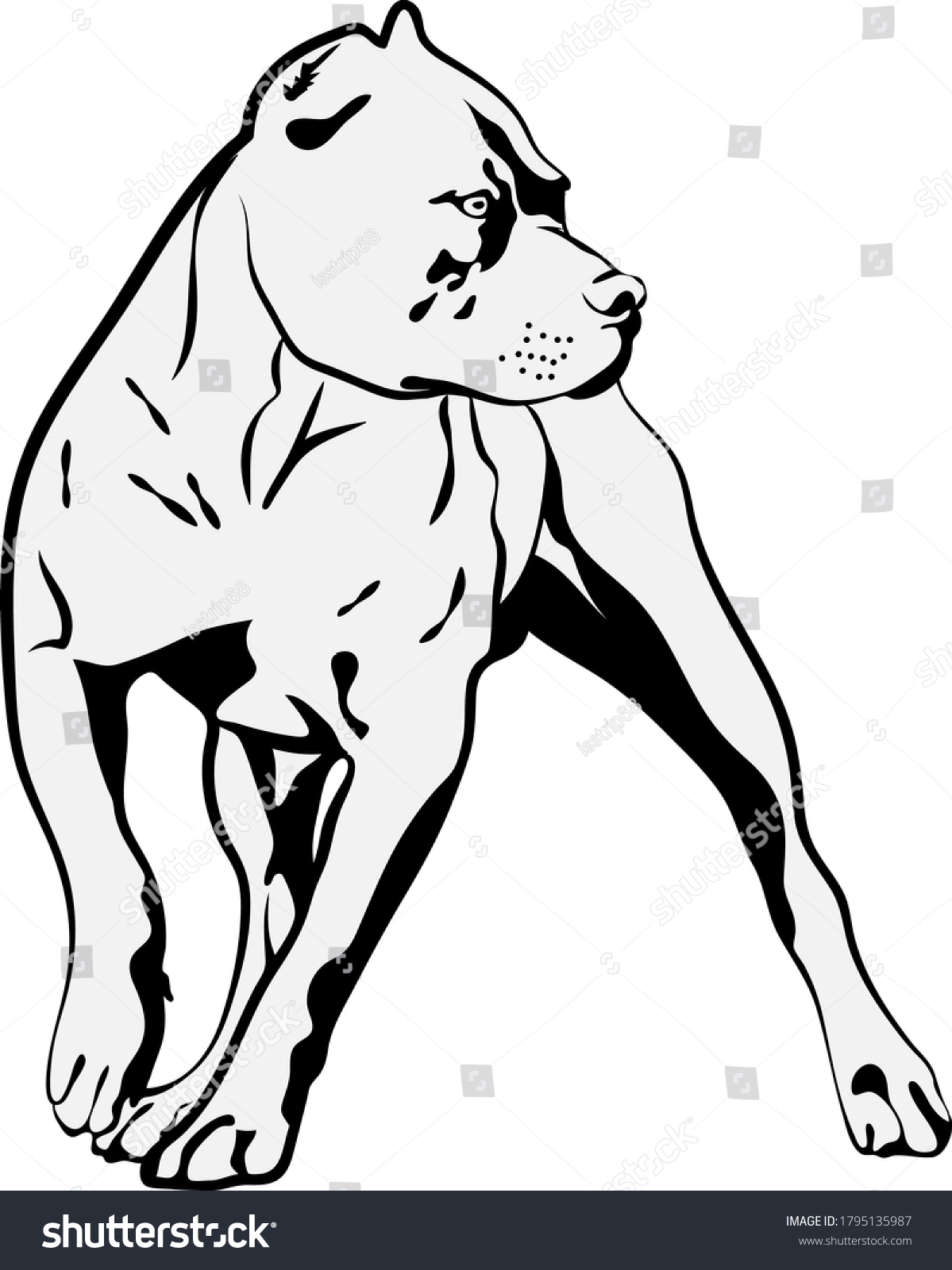 Free Free 221 Staffordshire Bull Terrier Svg SVG PNG EPS DXF File