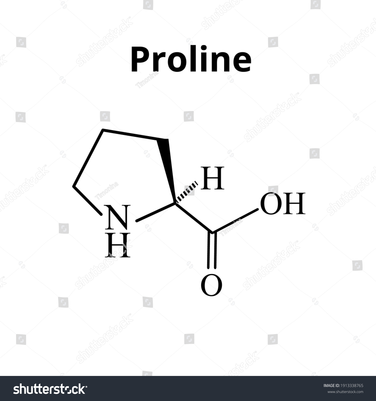 Amino Acid Proline Chemical Molecular Formula Stock Vector Royalty Free 1913338765 4022