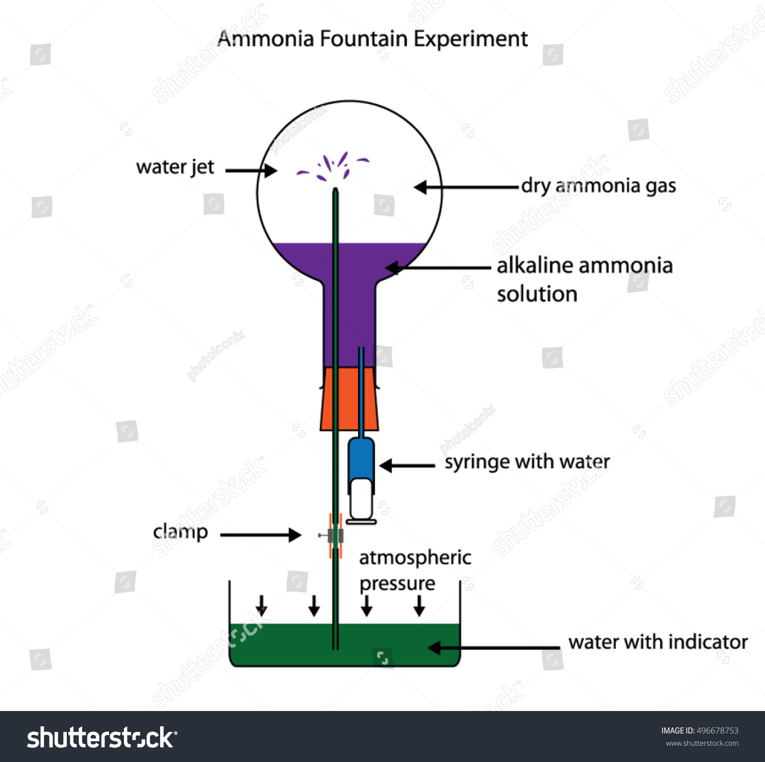 Ammonia Fountain Experiment Demonstrate Solubility Ammonia: Vector De ...