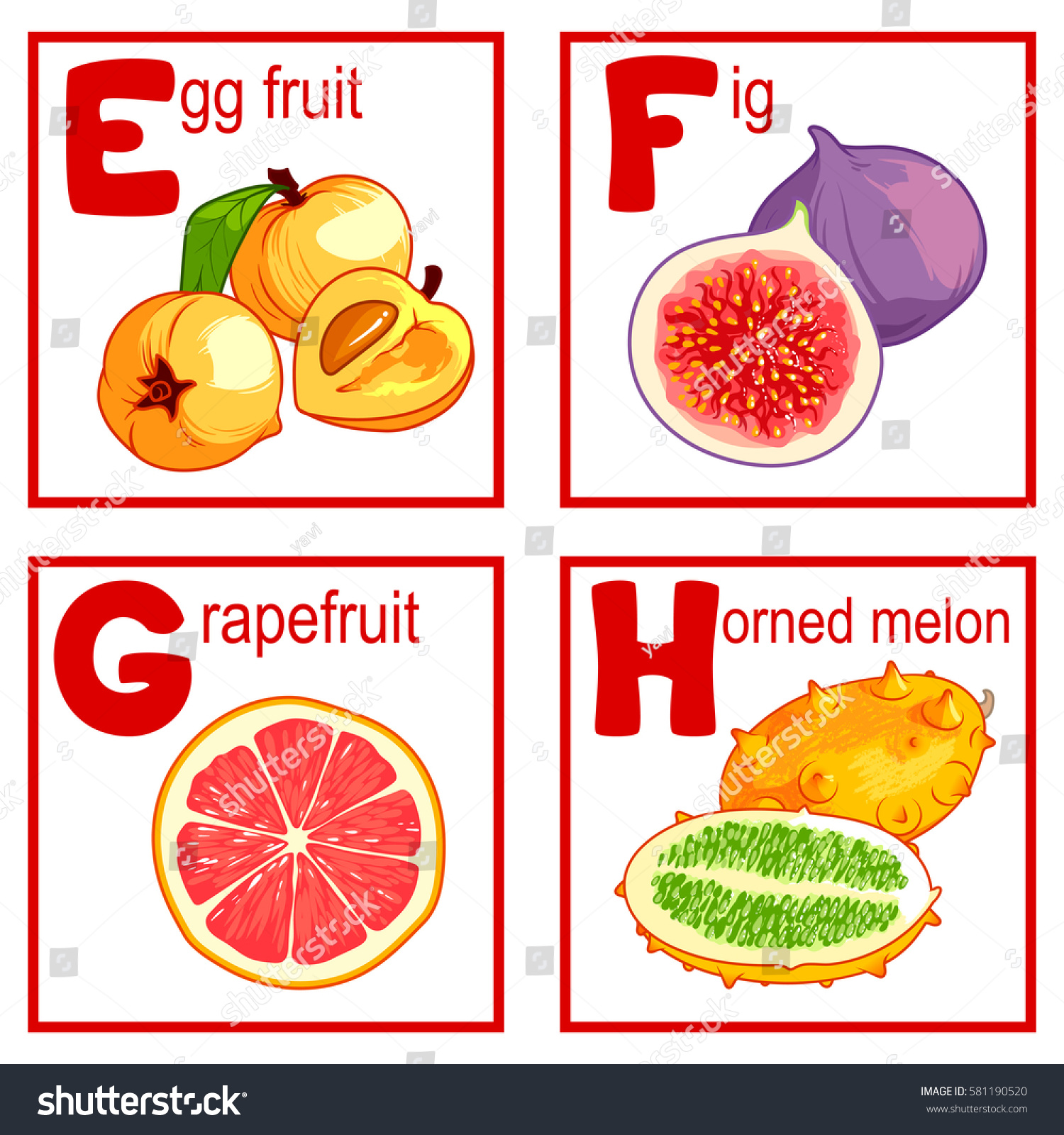 Alphabet Cute Fruits Letters E H Stock Vector Royalty Free 581190520