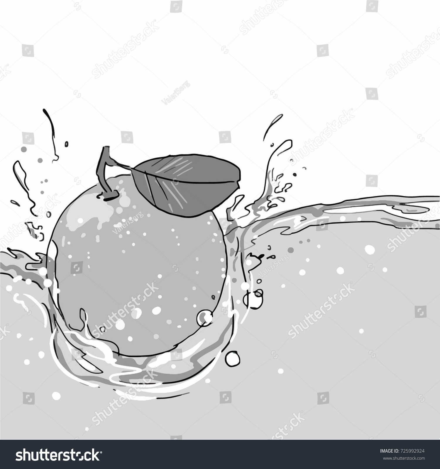 Orange Fruit Thrown Into Water Water Stock Vector Royalty Free