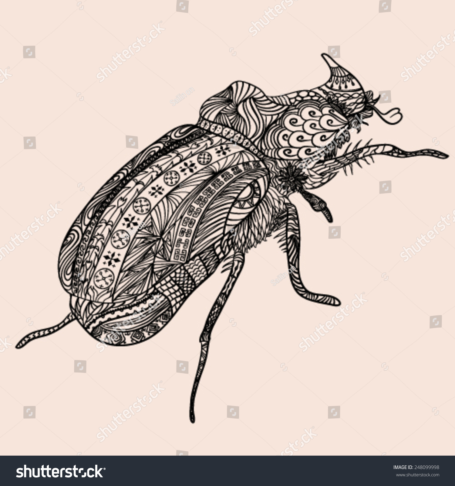 Ornate Bug Zentangle Stylized Vector Illustration Stock Vector (Royalty ...