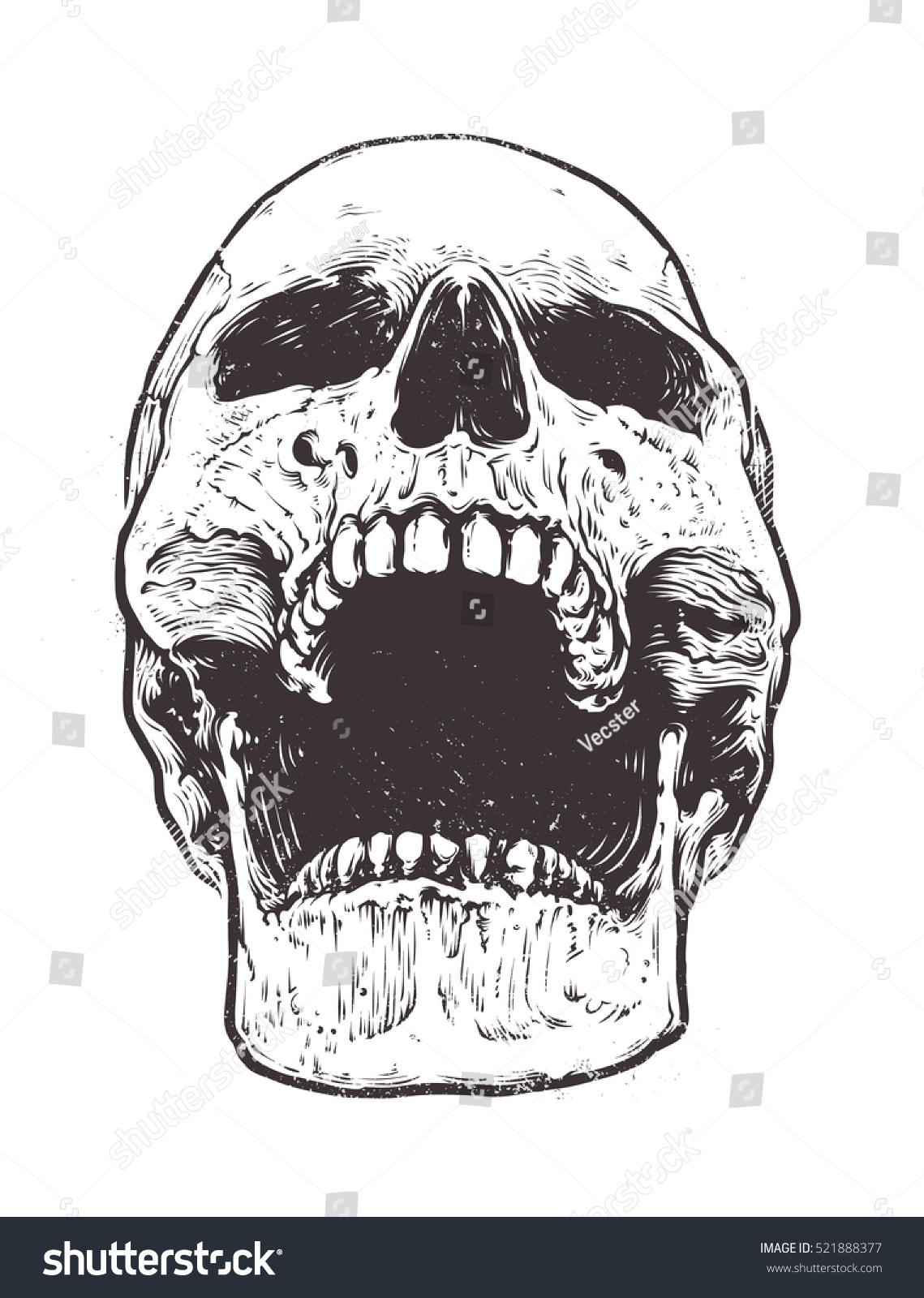 Anatomic Skull Vector Art Detailed Handdrawn Stock Vector (Royalty Free