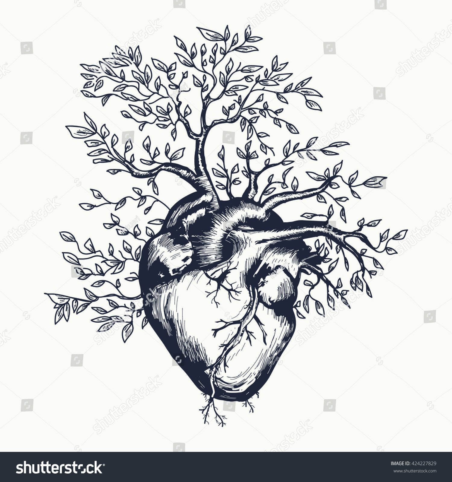 Anatomical Human Heart Which Tree Grows Stock Vector Royalty Free