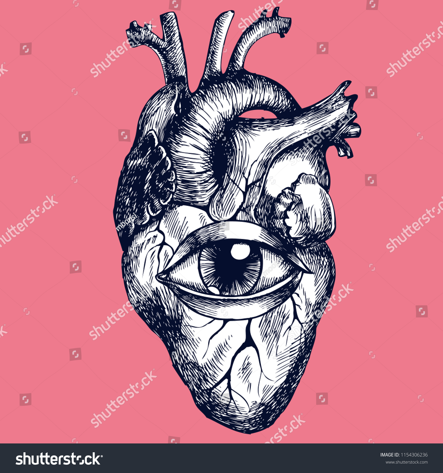 Anatomical Human Heart Eye Handdrawn Vector Stock Vector (Royalty Free