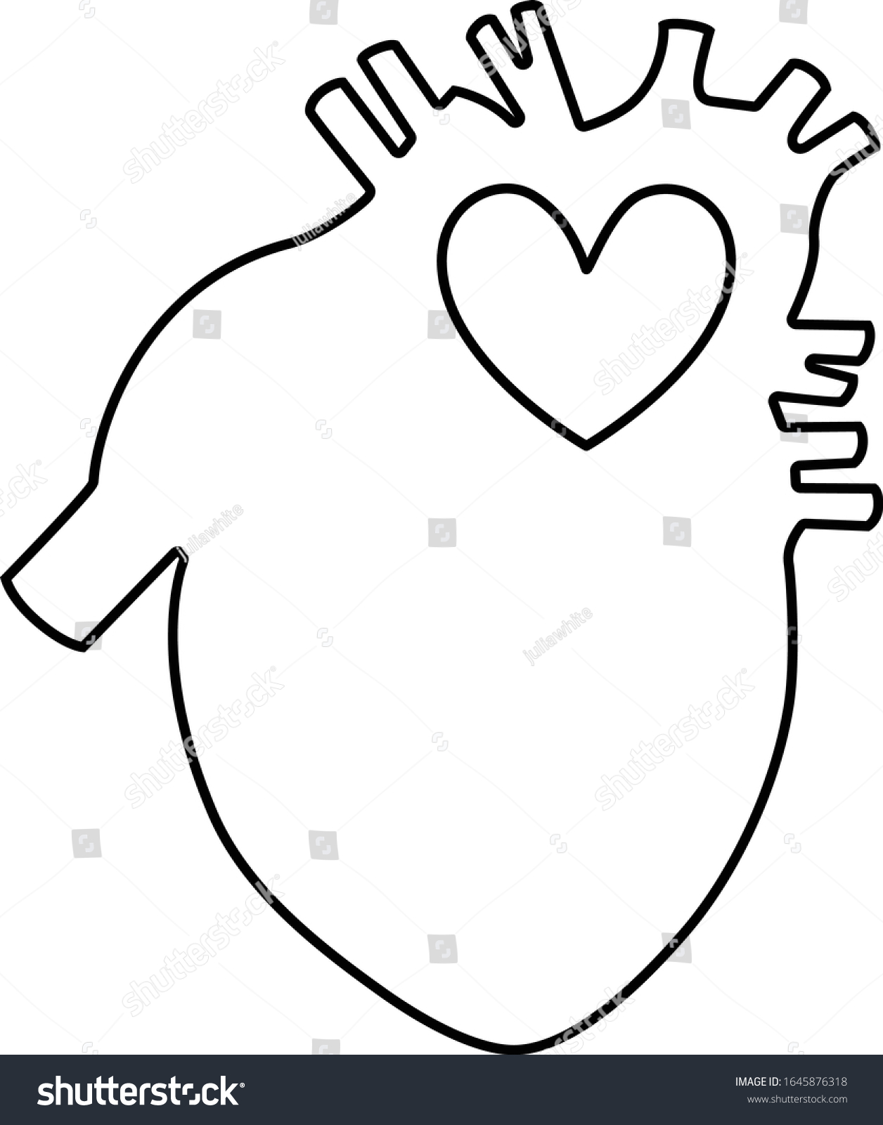 Anatomical Lineart Image Humans Heart Vector Stock Vector (Royalty Free ...