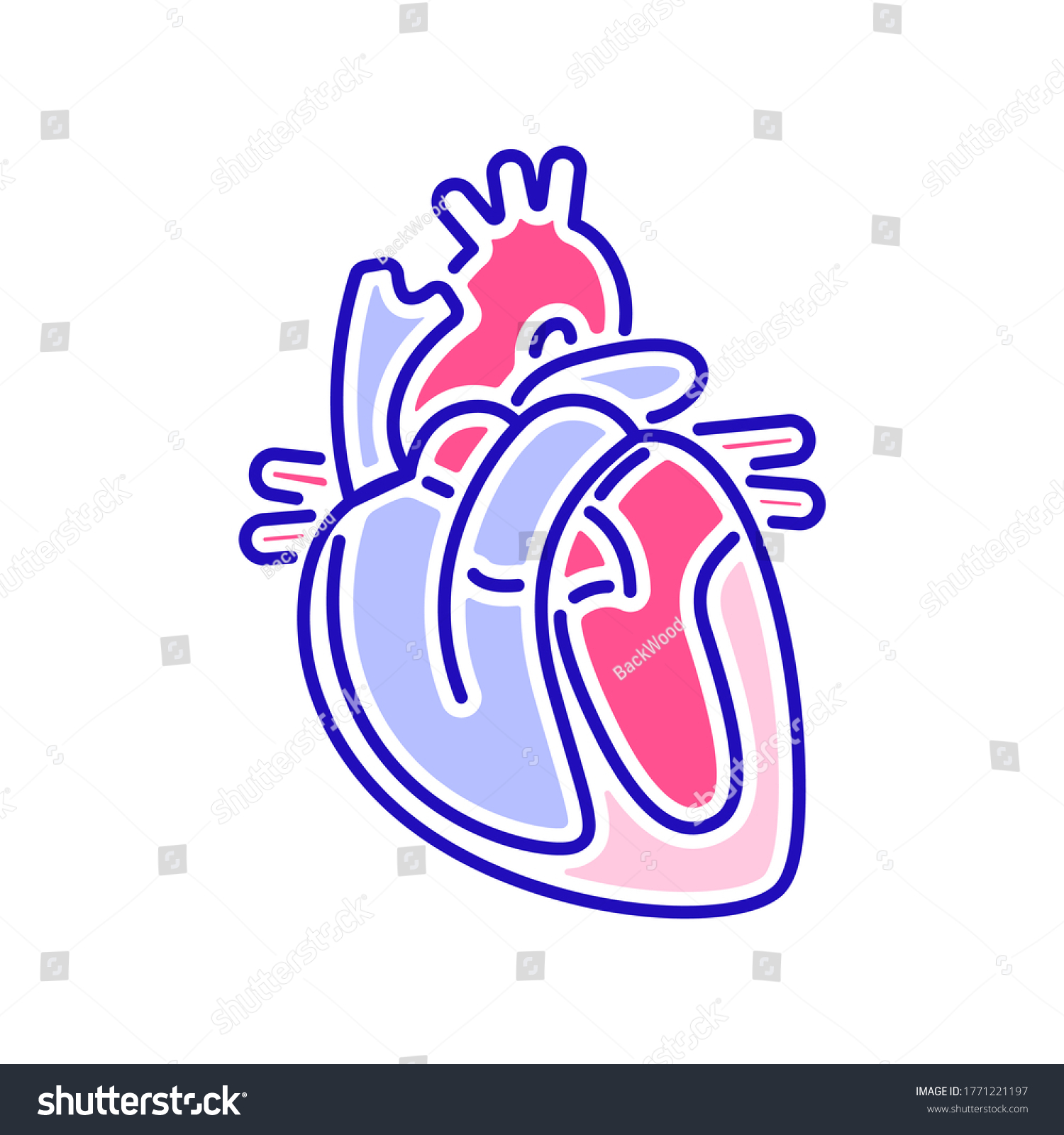 Anatomy Cardiovascular System Color Line Icon Stock Vector Royalty Anatomy Cardiovascular System Color Line Icon Stock Vector Royalty