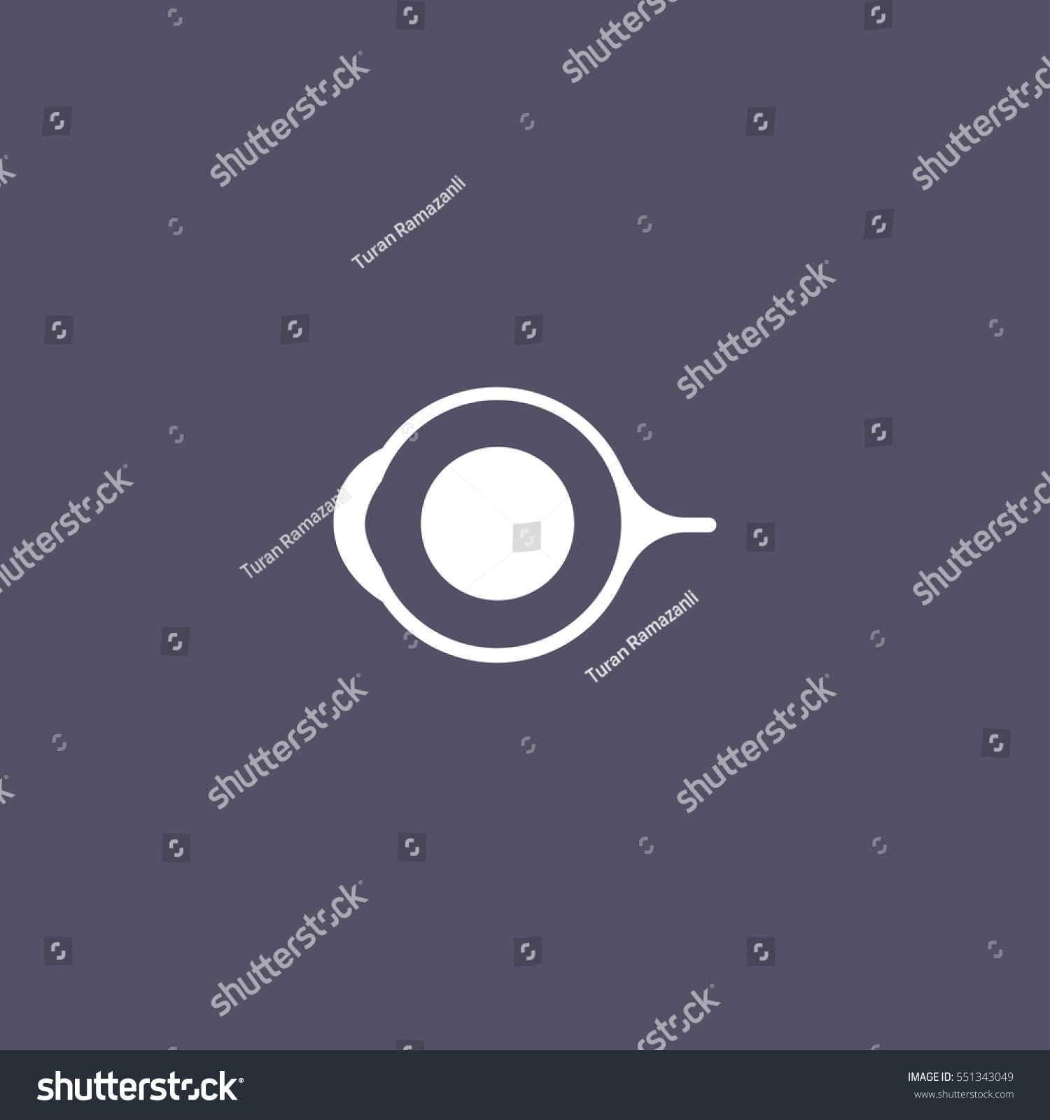 Anatomy Eye Icon Stock Vector (Royalty Free) 551343049