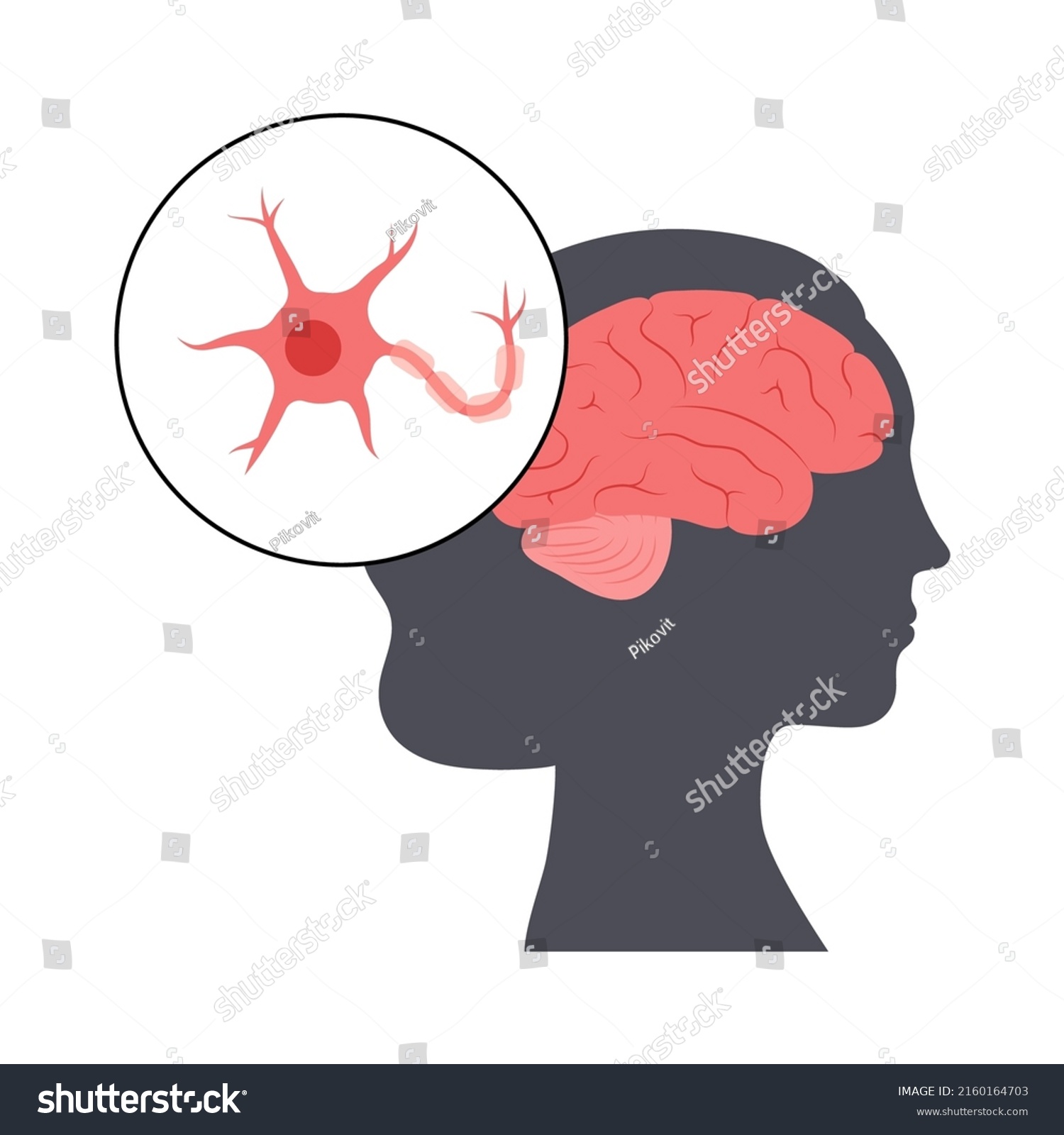 SVG of Anatomy of a neuron. Brain activity in the human body concept. Dendrites, nucleus, axon terminal and myelin sheath medical poster flat vector illustration for clinic or education. svg