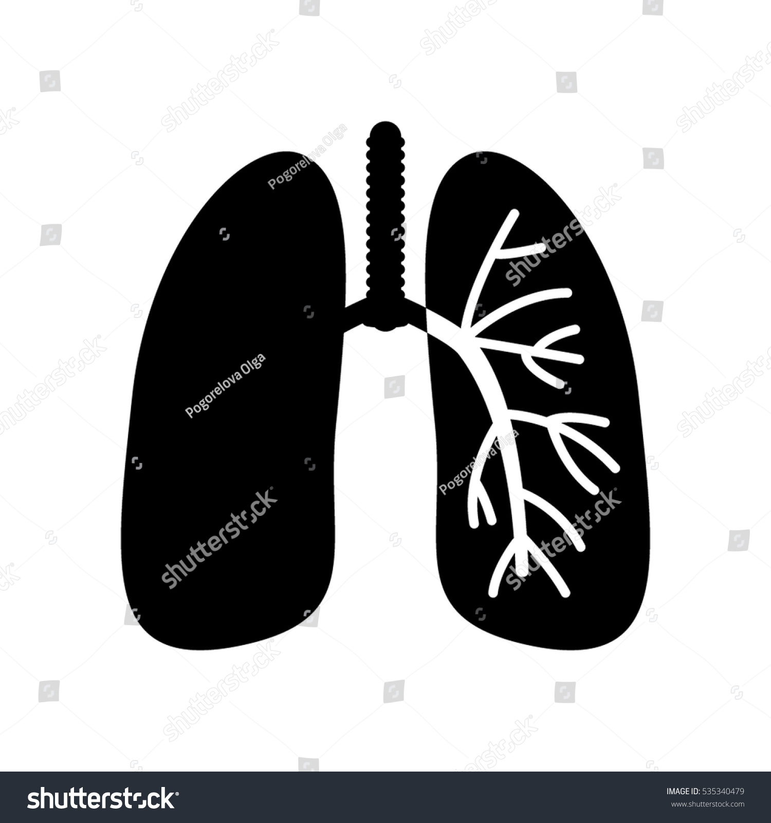 Anatomy Human Lung Flat Vector Illustration Stock Vector (Royalty Free ...