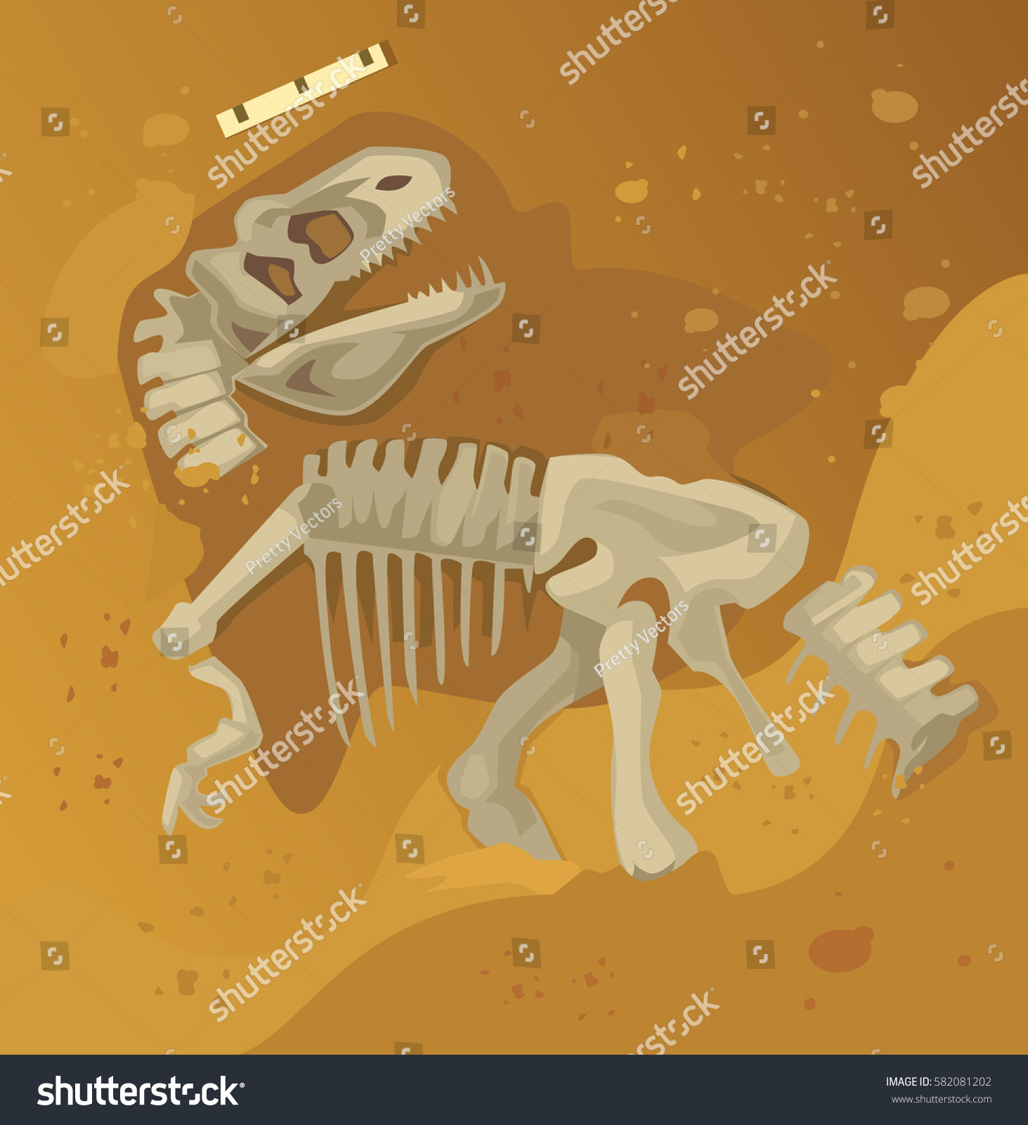 古代恐竜の骨格の化石 ベクター平面の漫画イラスト のベクター画像素材 ロイヤリティフリー