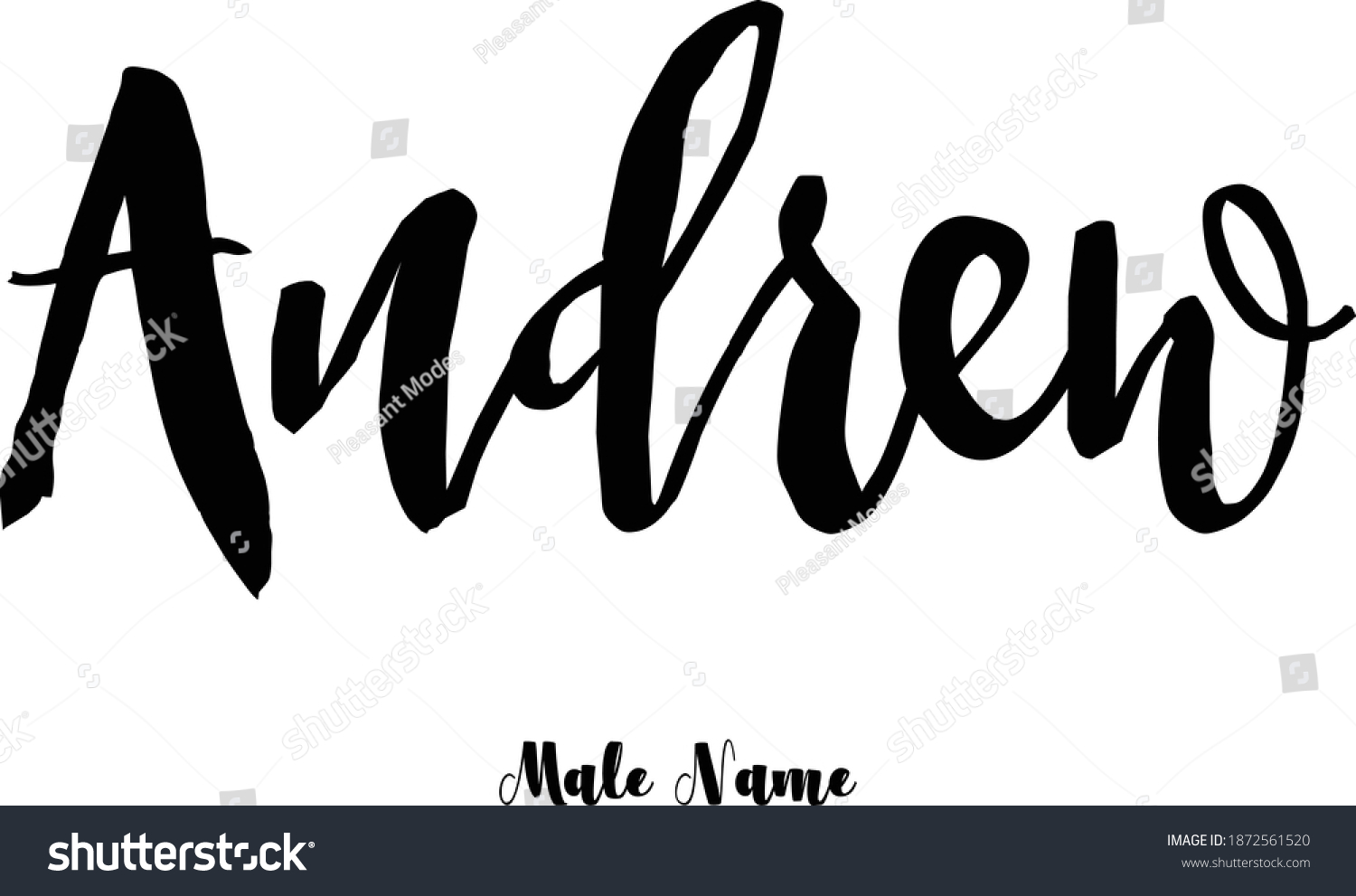 Andrewmale Name Bold Cursive Calligraphy Typeface