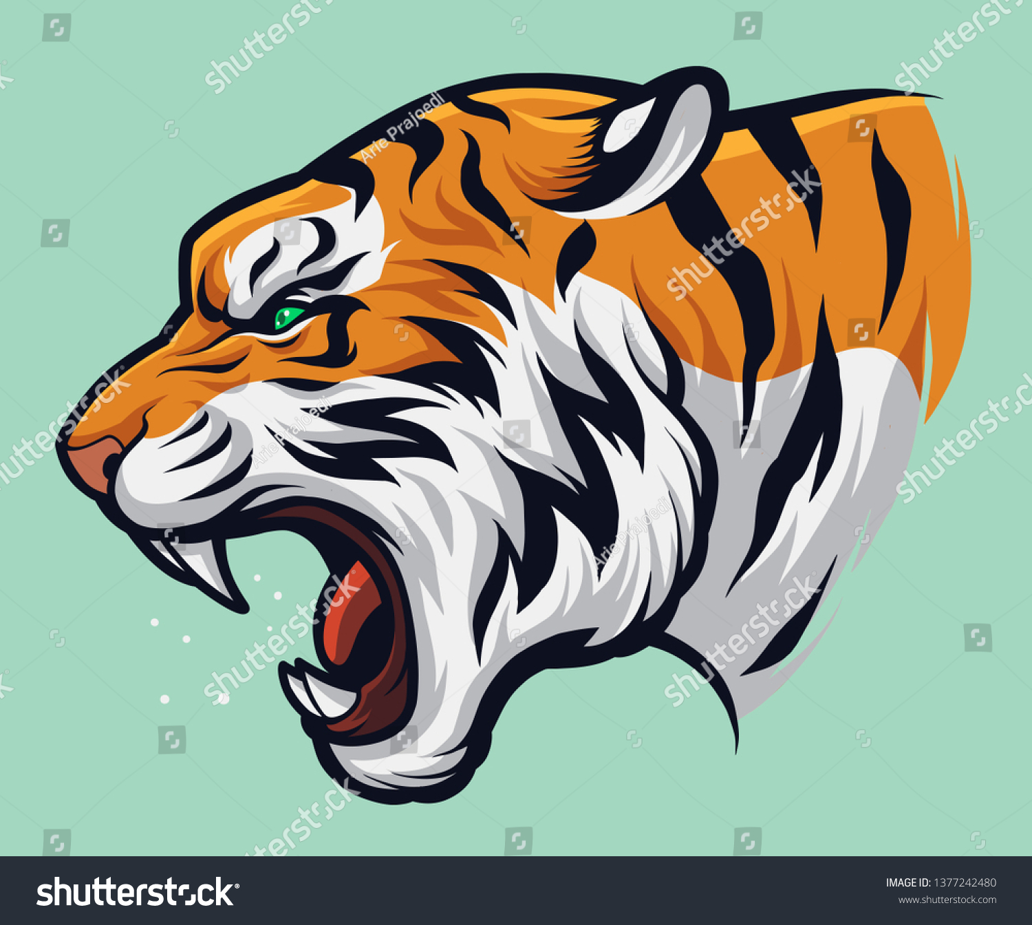 Angry Roaring Tiger Panthera Tigris Stock Vector Royalty Free