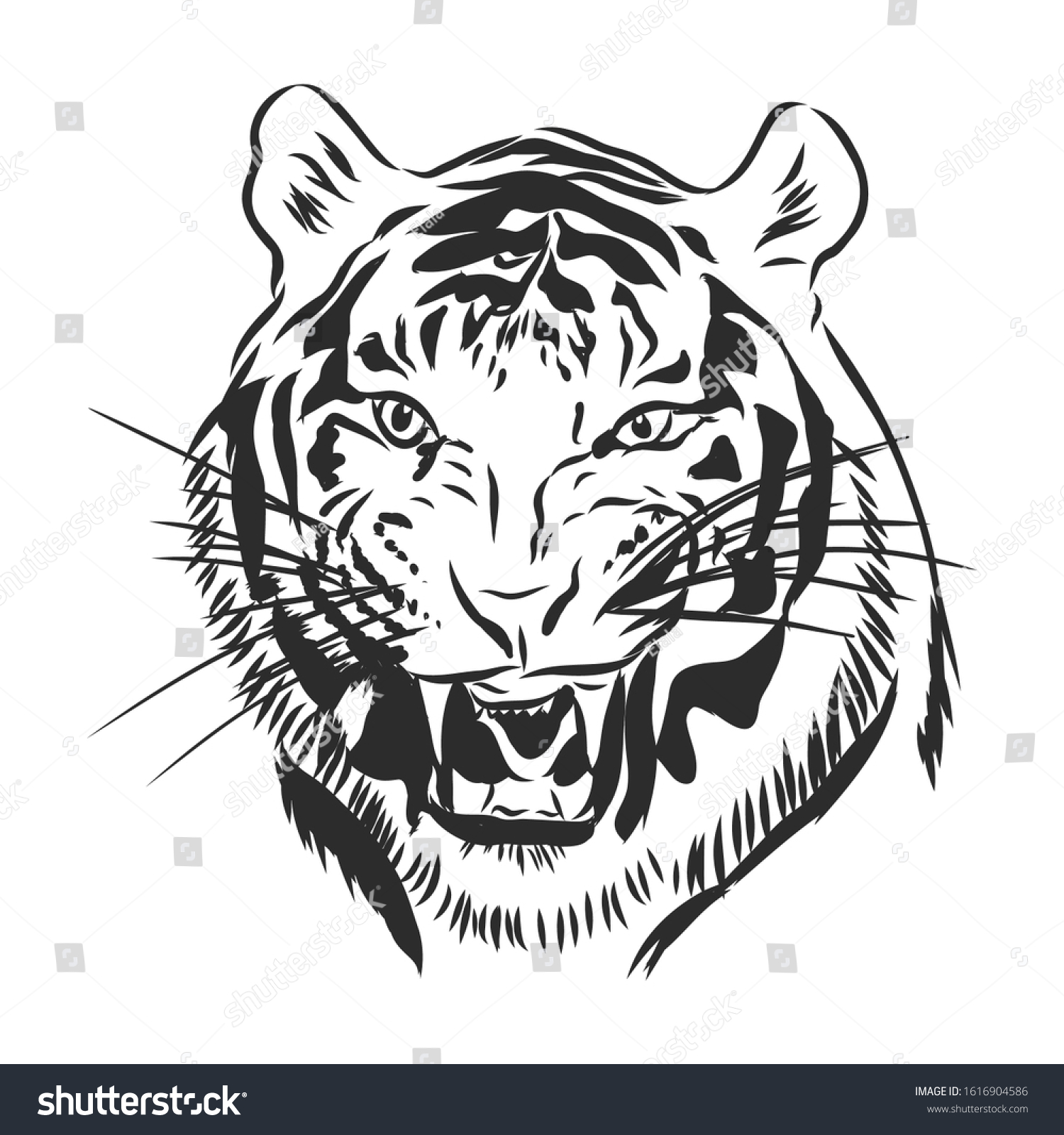 Angry Tigers Head Vector Sketch Illustration Stock Vector (Royalty Free ...