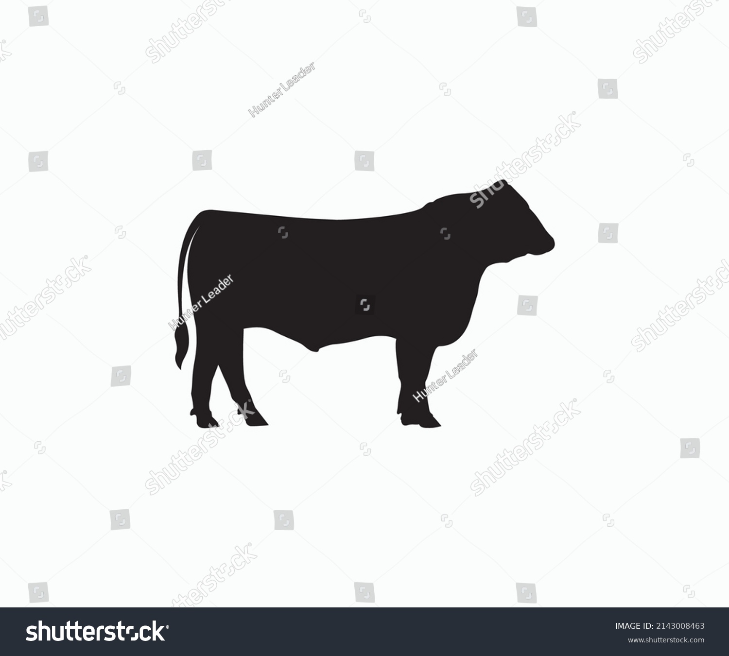 SVG of Angus Cow Silhouette Vector. Angus, Decree, Cattle, Cows, Bull, Cow, Intimidate, Art, Artwork, Painting, Silhouette. svg