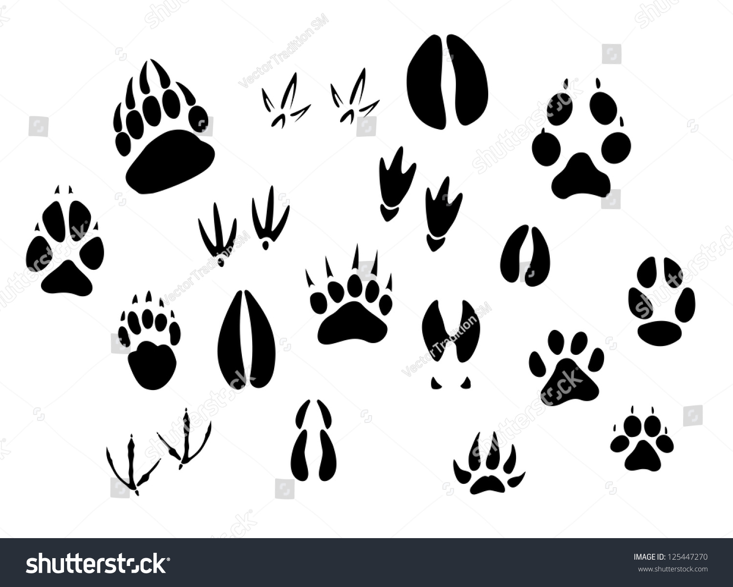 SVG of Animal - birds and mammals - footprints silhouettes set isolated on white background, such as idea of logo. Jpeg version also available in gallery svg