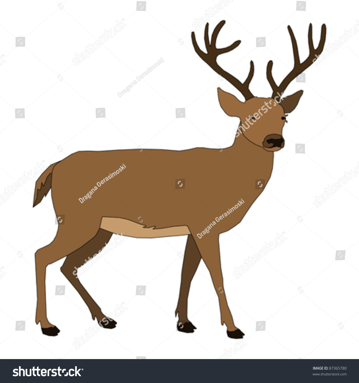 Animal - Deer, Vector - 87365780 : Shutterstock