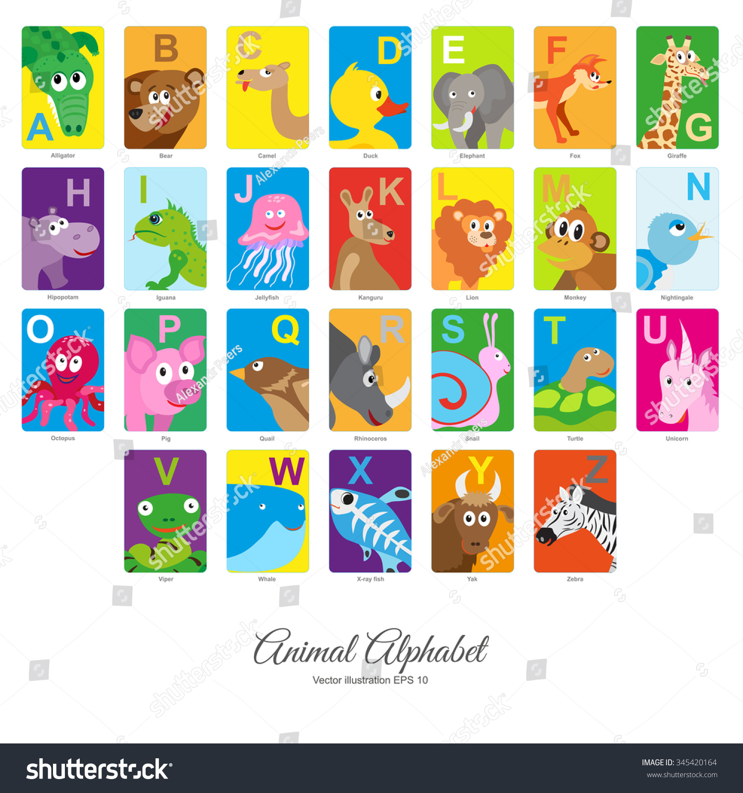 Animal English Alphabet Colorful Vector Illustration Stock Vector ...