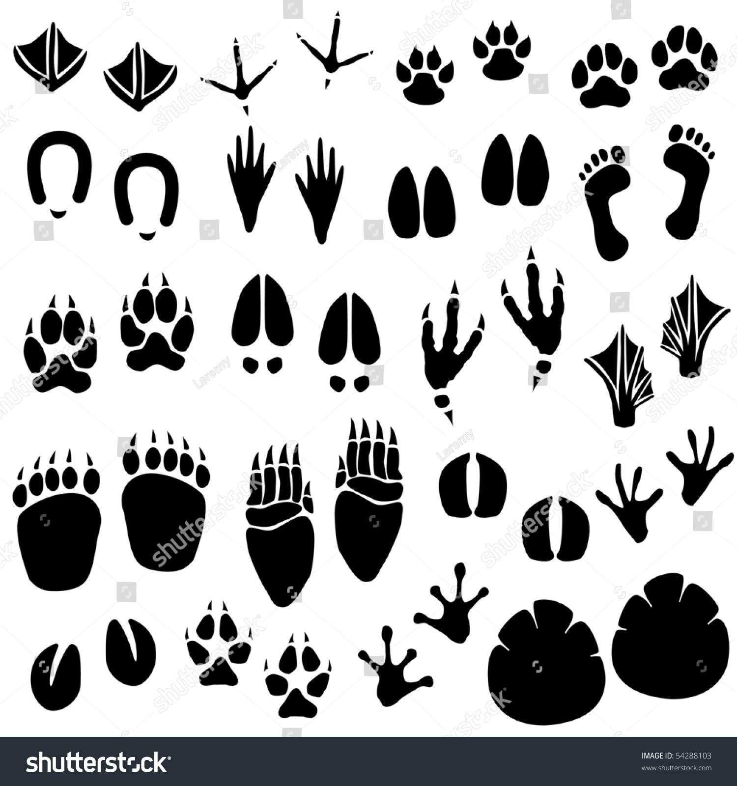 SVG of Animal Footprint Track Vector svg