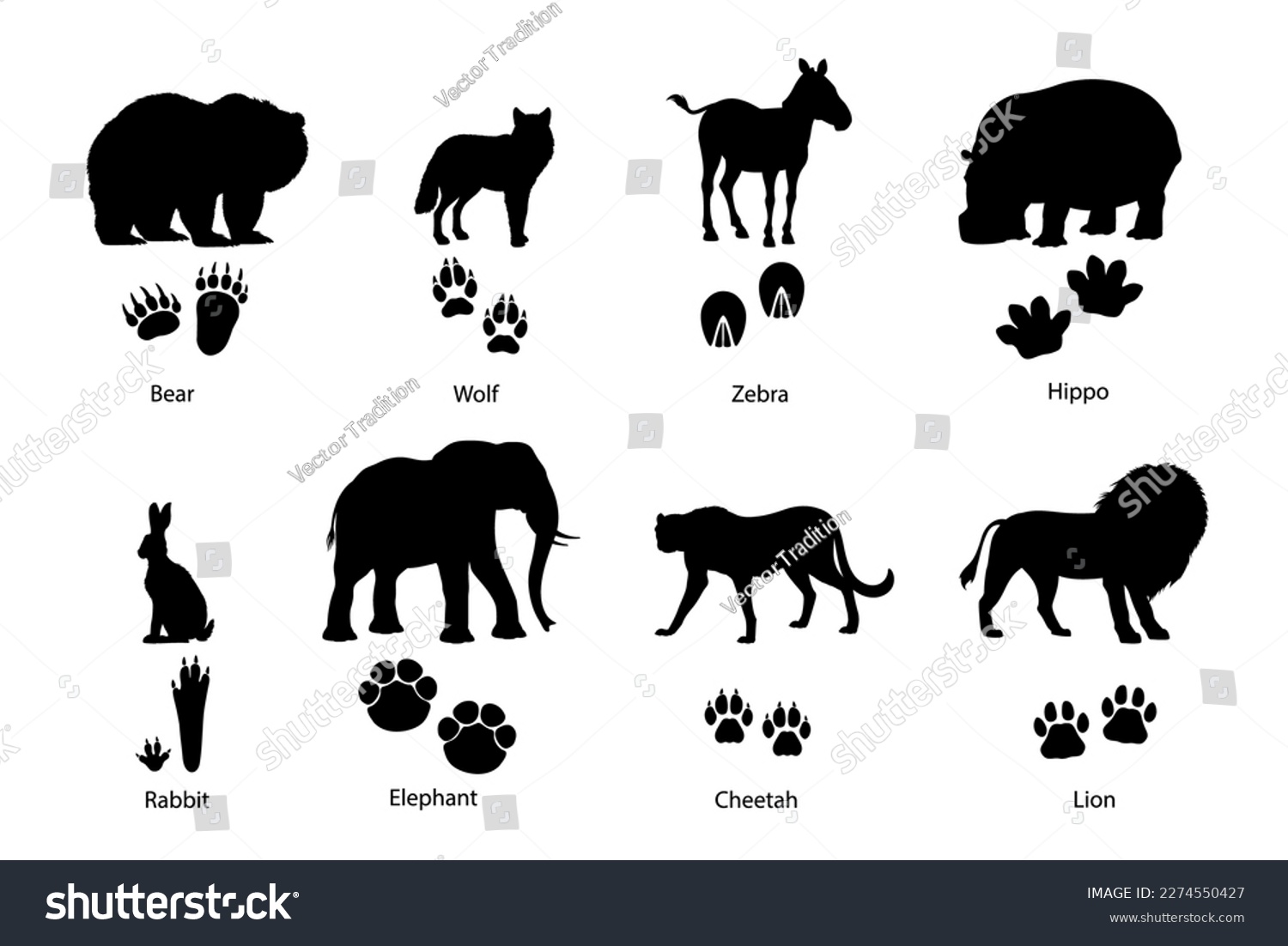 SVG of Animal footprints and silhouettes. Grizzly bear, wolf, zebra and hippopotamus, rabbit or hare, african elephant, cheetah savannah and lion wild cats silhouettes and animals paws vector footprints svg