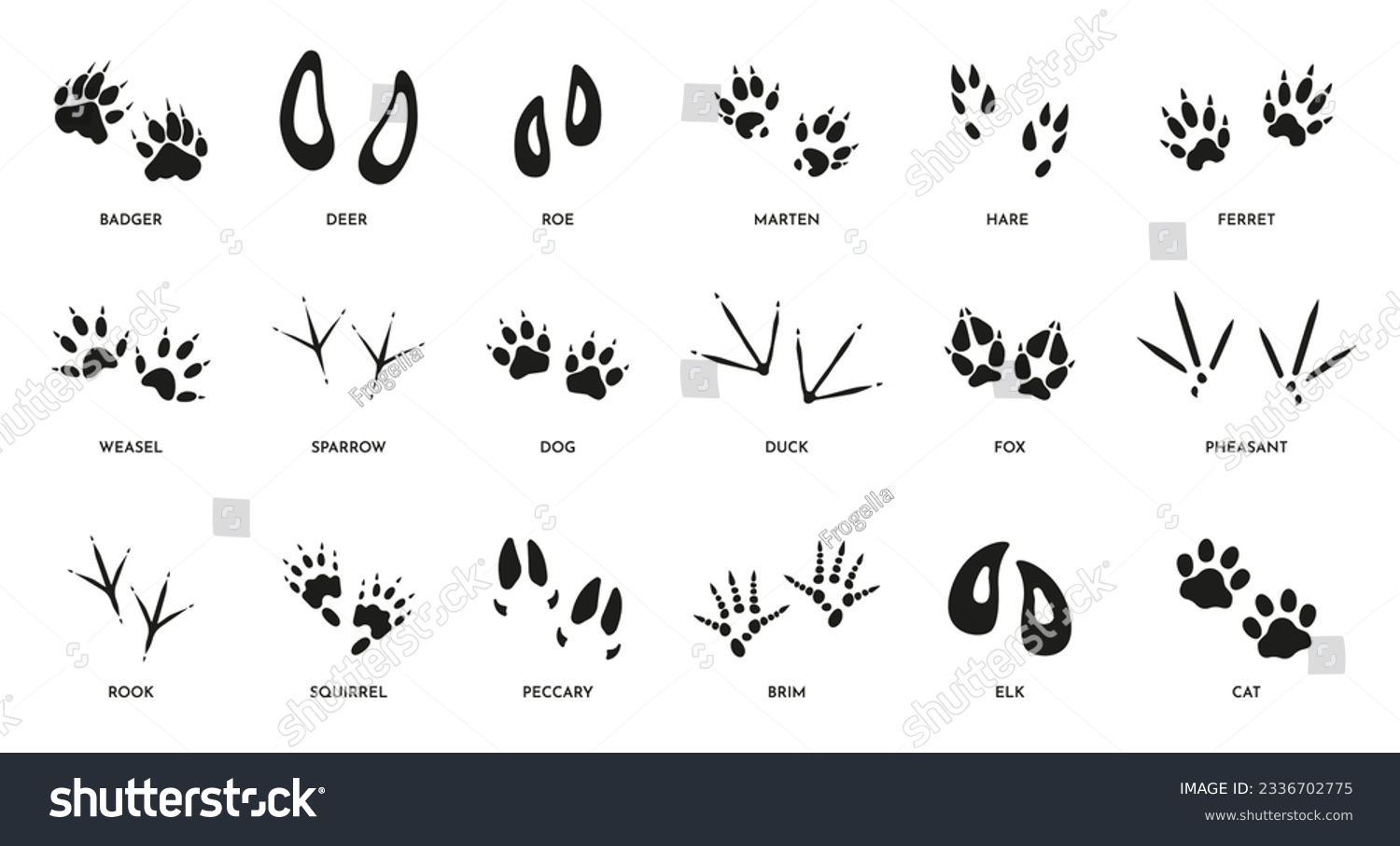 SVG of Animal footprints. Wild foot paw prints of different animals, foot silhouette trail of wild bests, dog fox elk ferret and deer paw. Vector isolated set. Domestic pets and wildlife traces svg