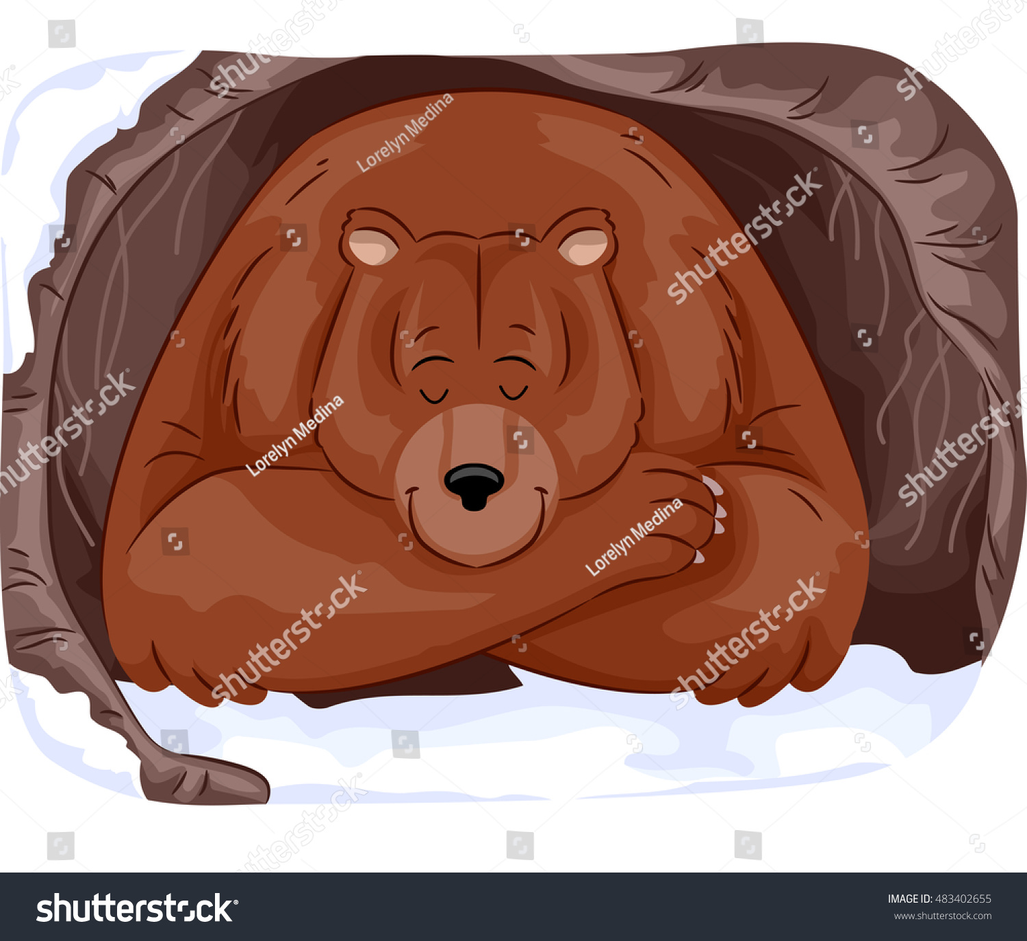 Animal Illustration Large Grizzly Bear Hibernating Stock Vector