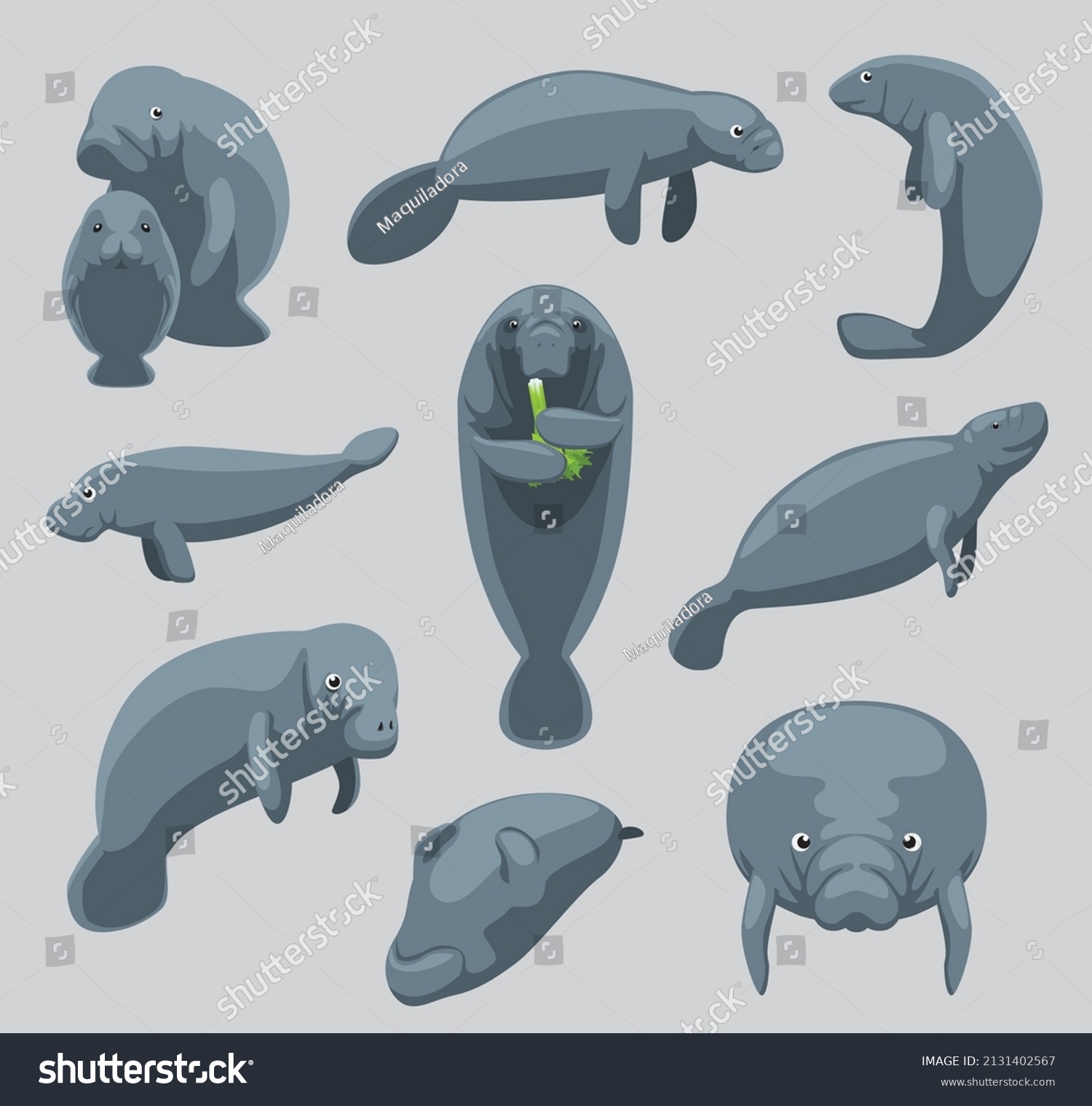 SVG of Animal Manatee Dugong Nine Poses Cartoon Vector Cute svg