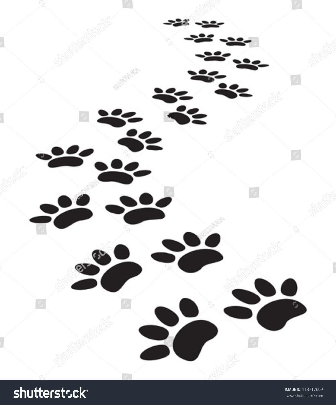 Animal Paw Prints Stock Vector 118717609 : Shutterstock