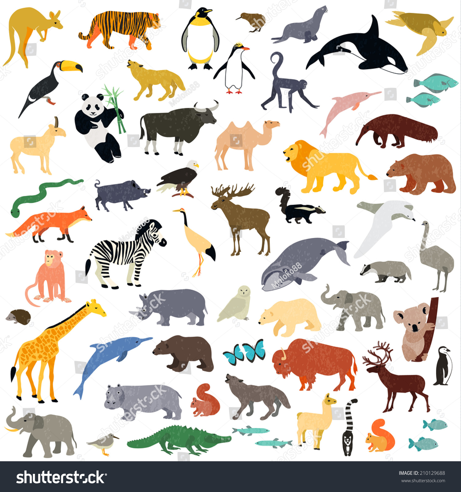 Animal Set Stock Vector 210129688 : Shutterstock