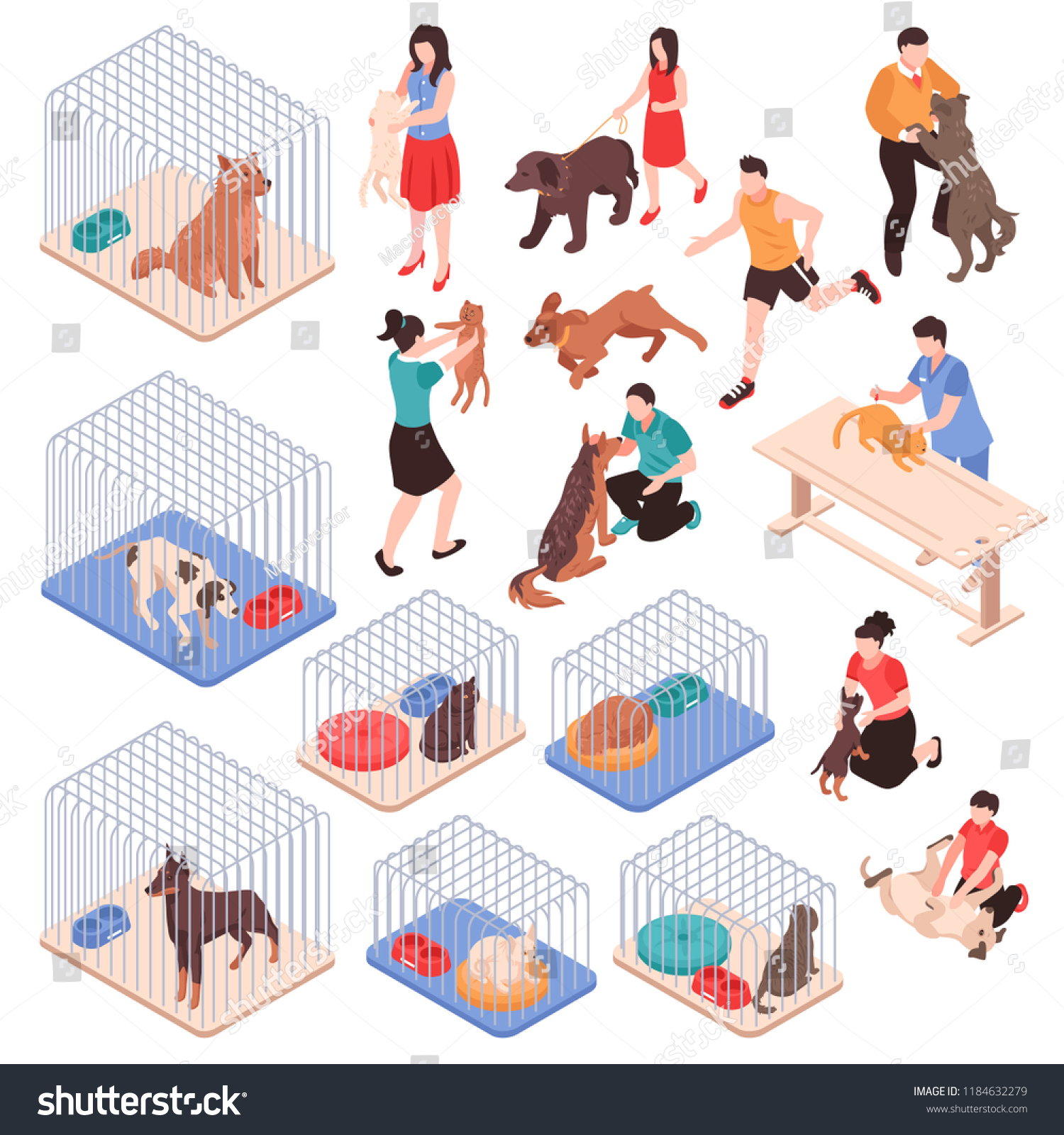 dogs and cages