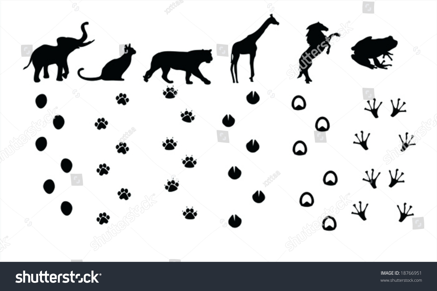 Animal Silhouettes Tracks Stock Vector 18766951 - Shutterstock