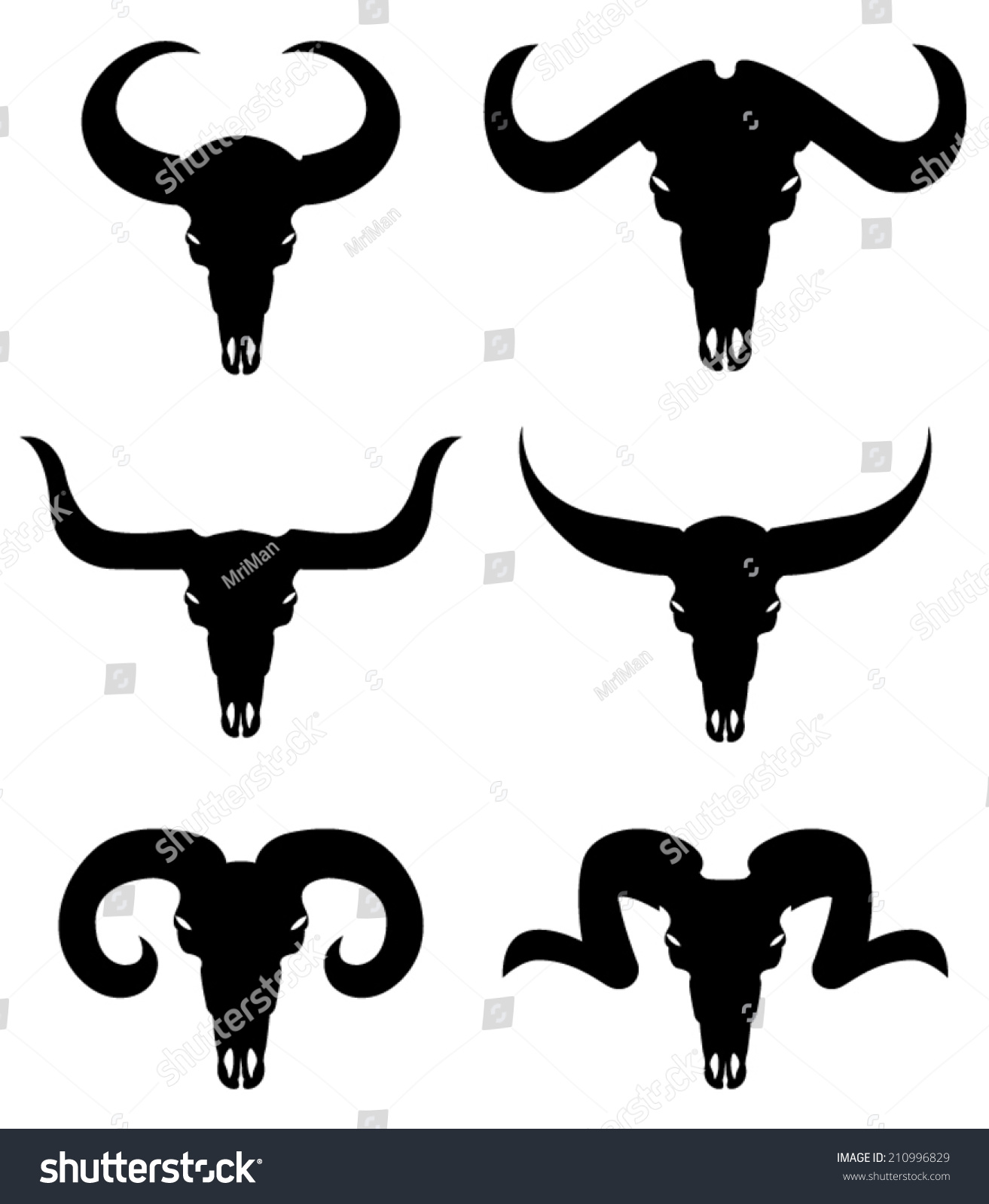 Animal Skulls Silhouette Stock Vector 210996829 - Shutterstock