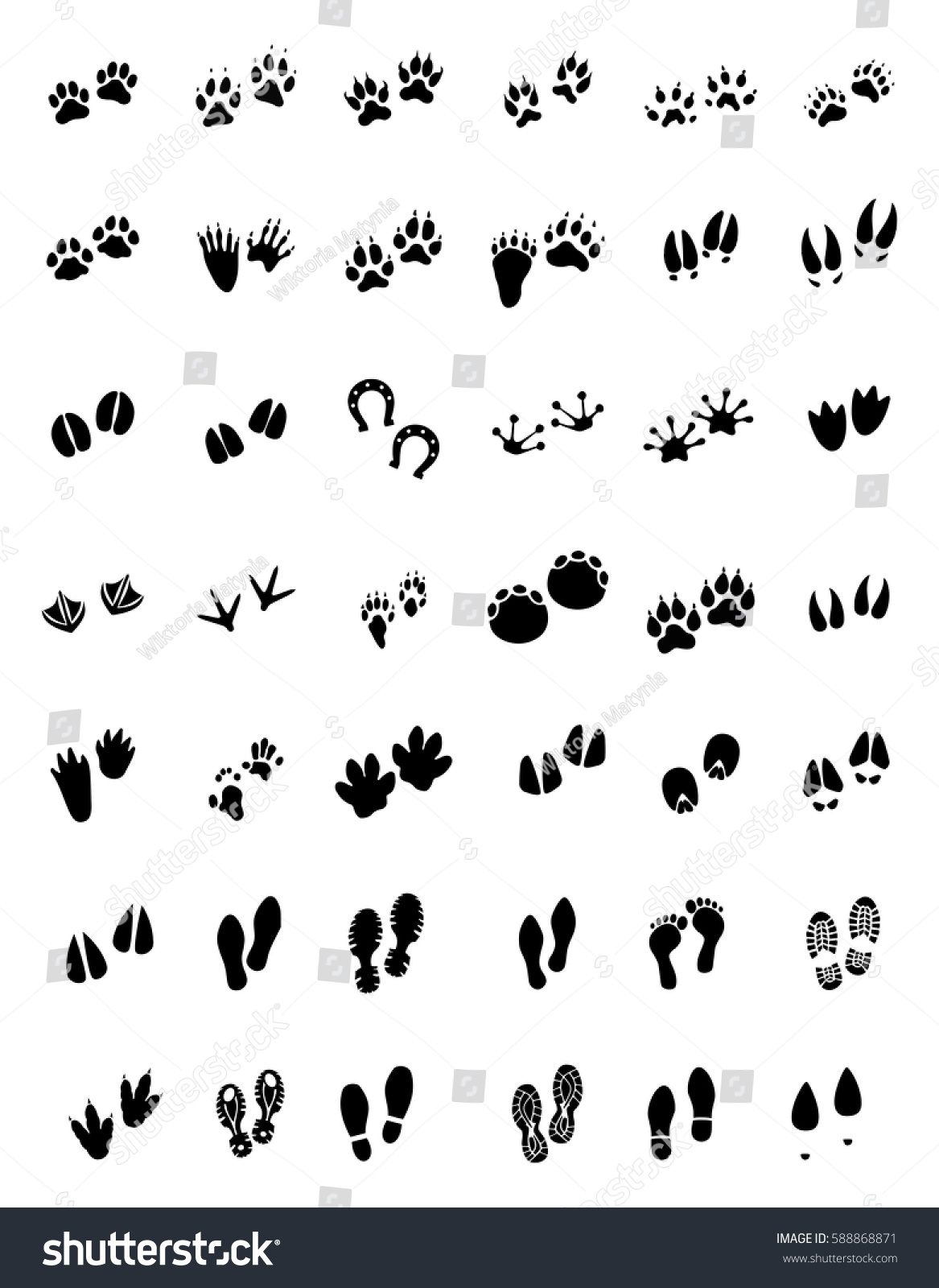 Animal Tracks Foot Print Guide Vector Stock Vector (Royalty Free ...