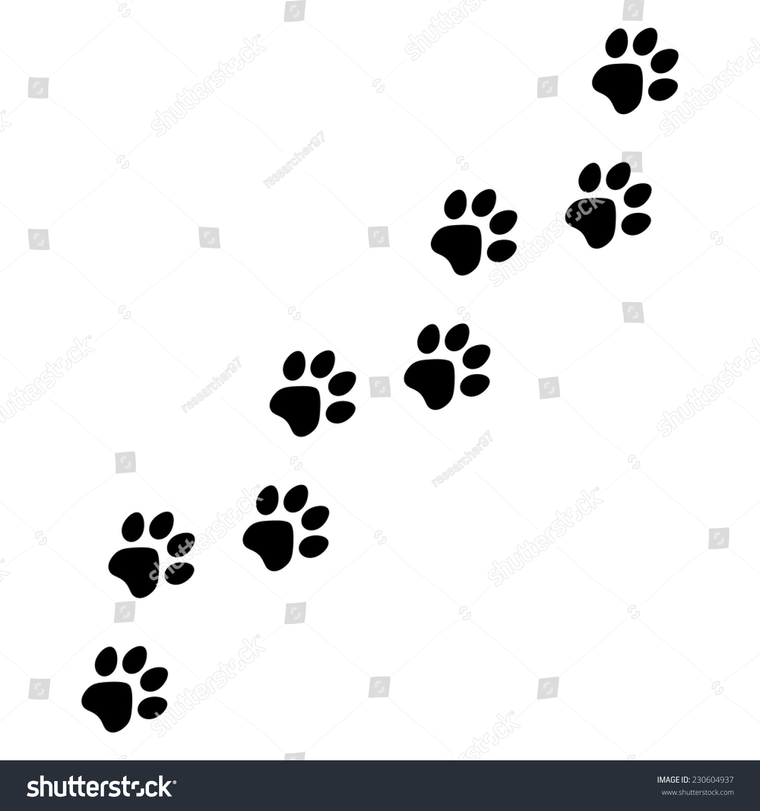 Download Animal Tracks Vector Stock Vector 230604937 - Shutterstock