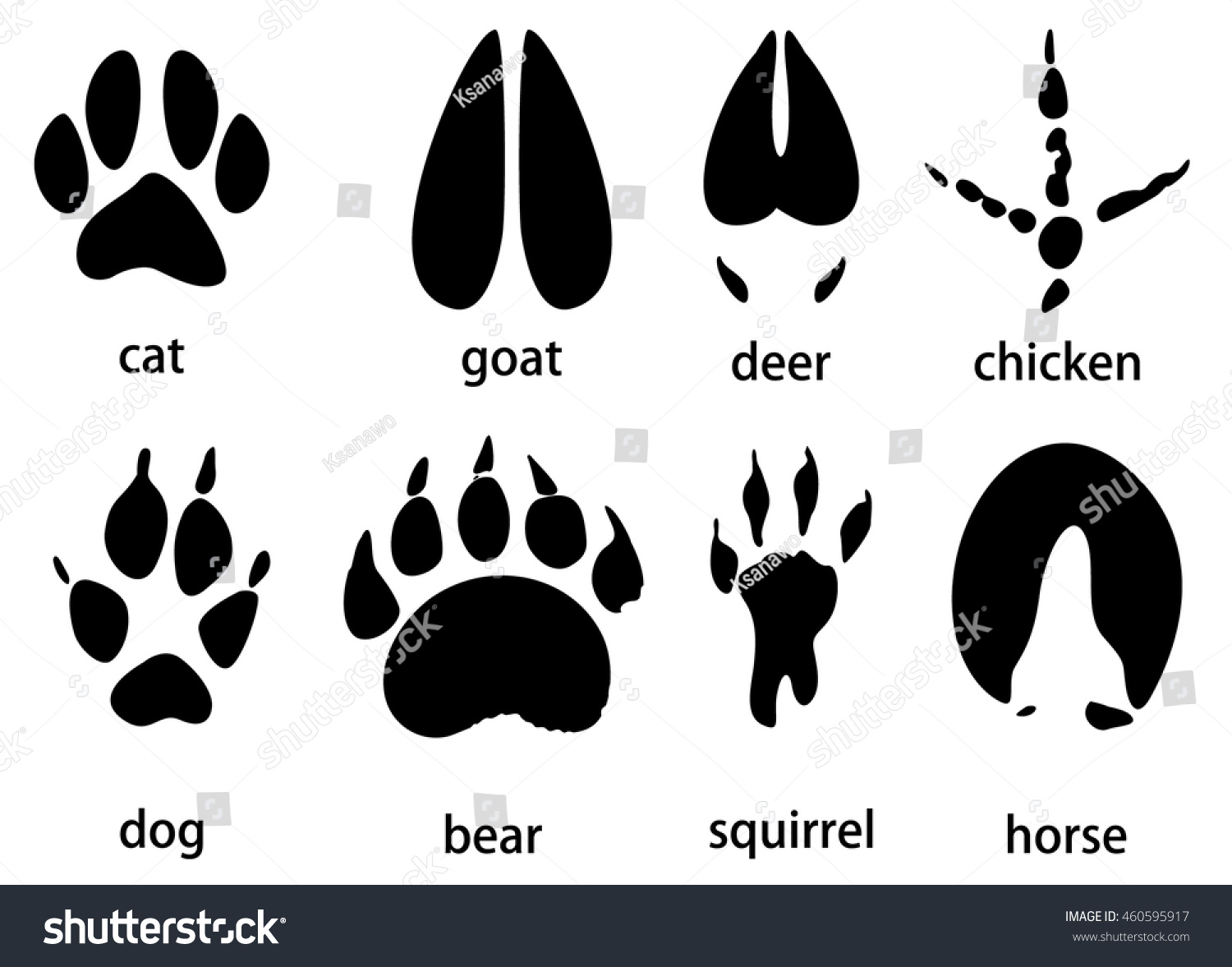 Animal Tracks Vector Set Stock Vector 460595917 - Shutterstock