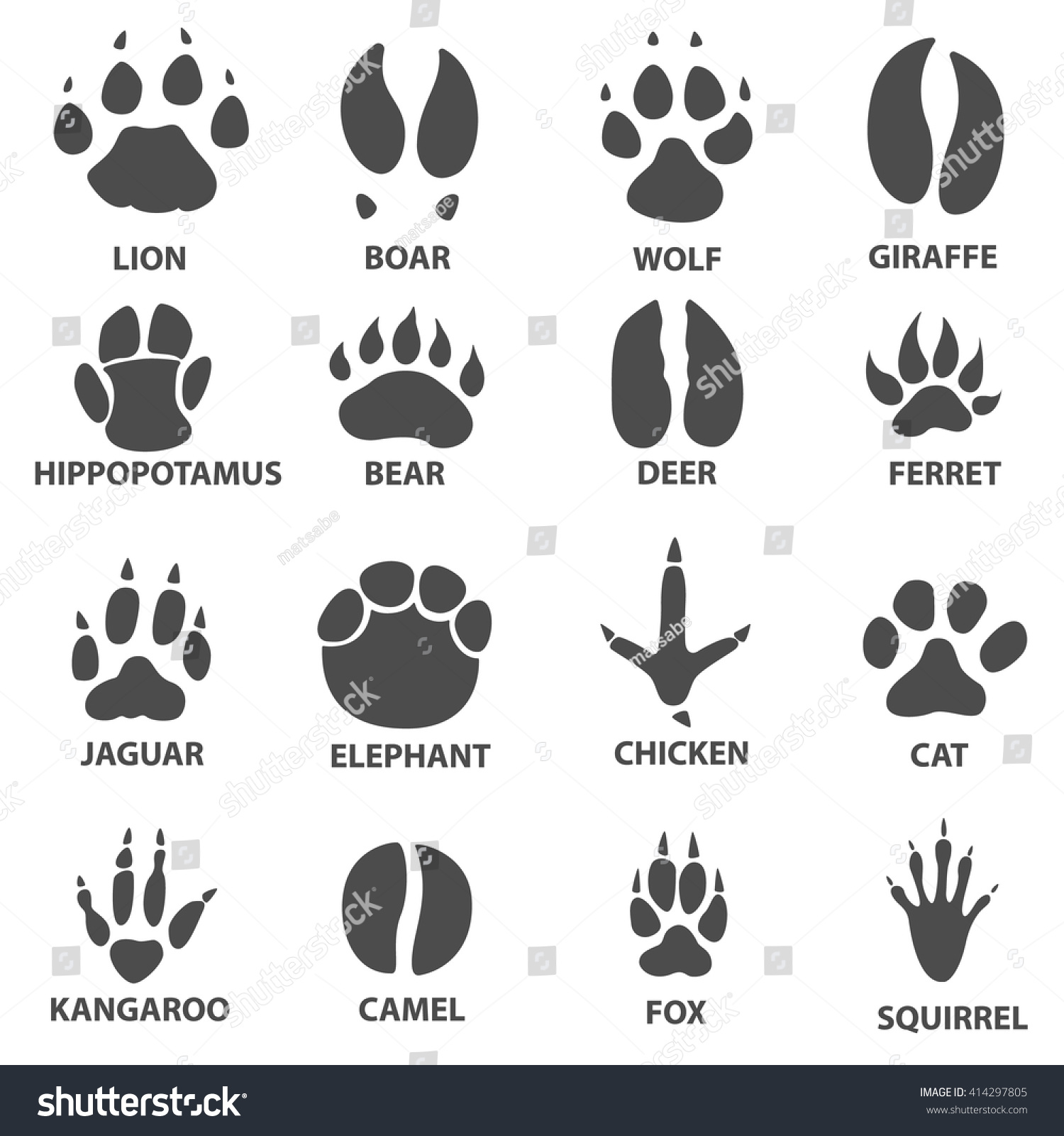 Animal Trail. Next To The Name Of The Animal. Animal Tracks Vector ...