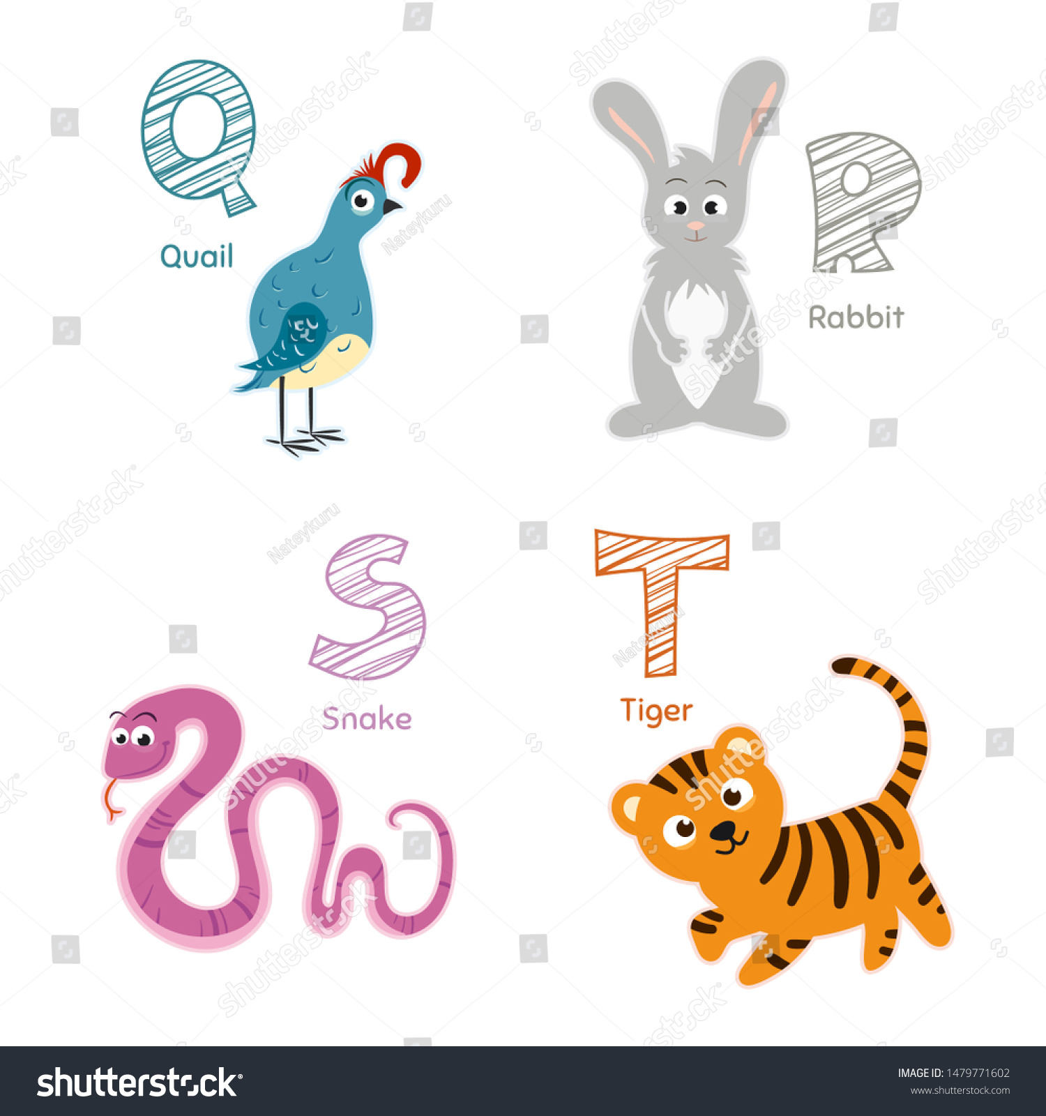 Animal Zoo English Alphabet Q R Stock Vector Royalty Free 1479771602